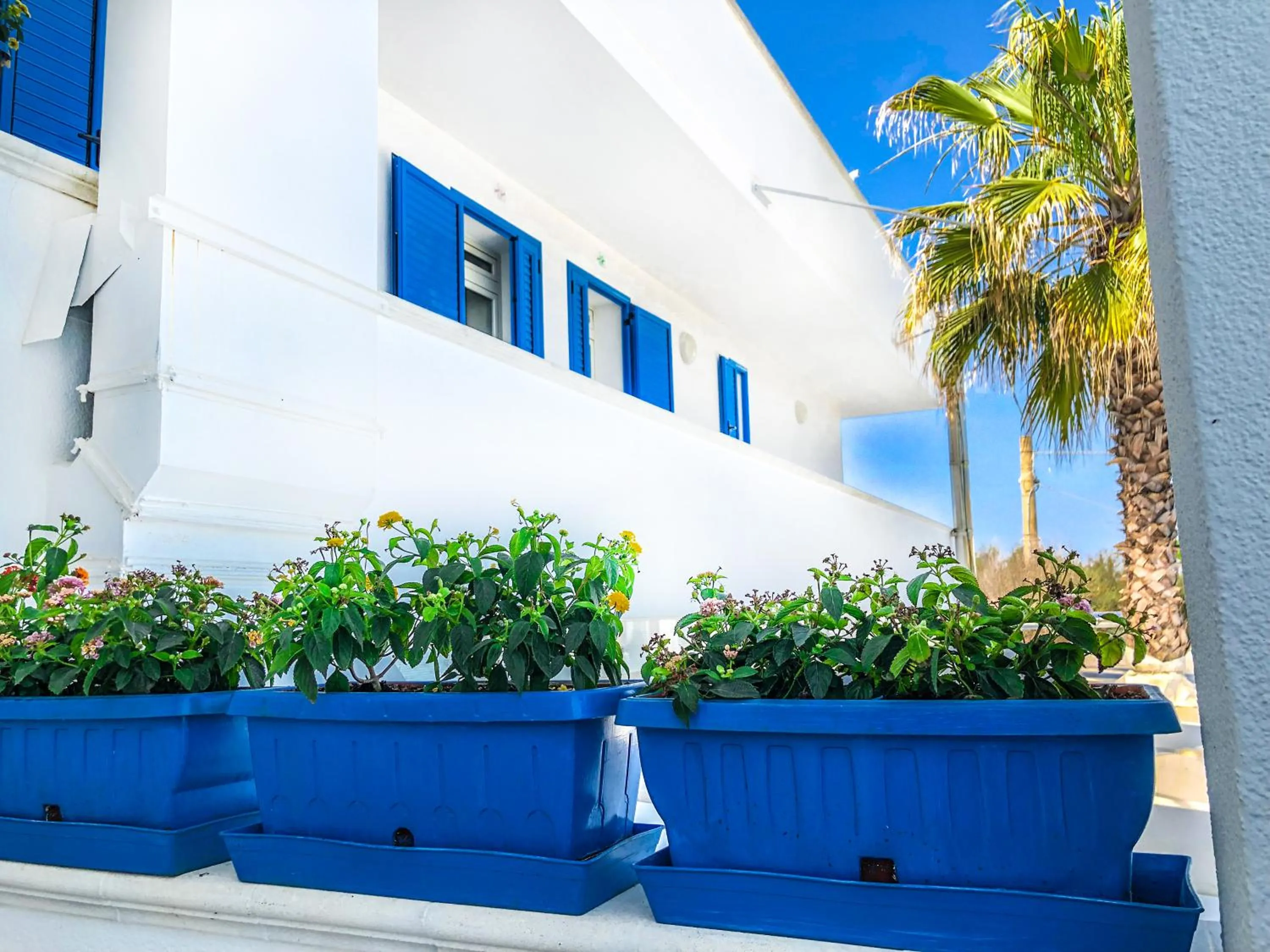 Property building in Hotel I Colori Del Mare