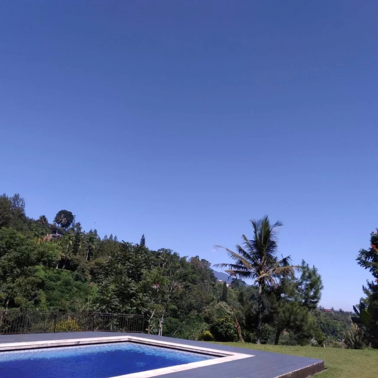 Swimming pool in Albero Hotel Bogor