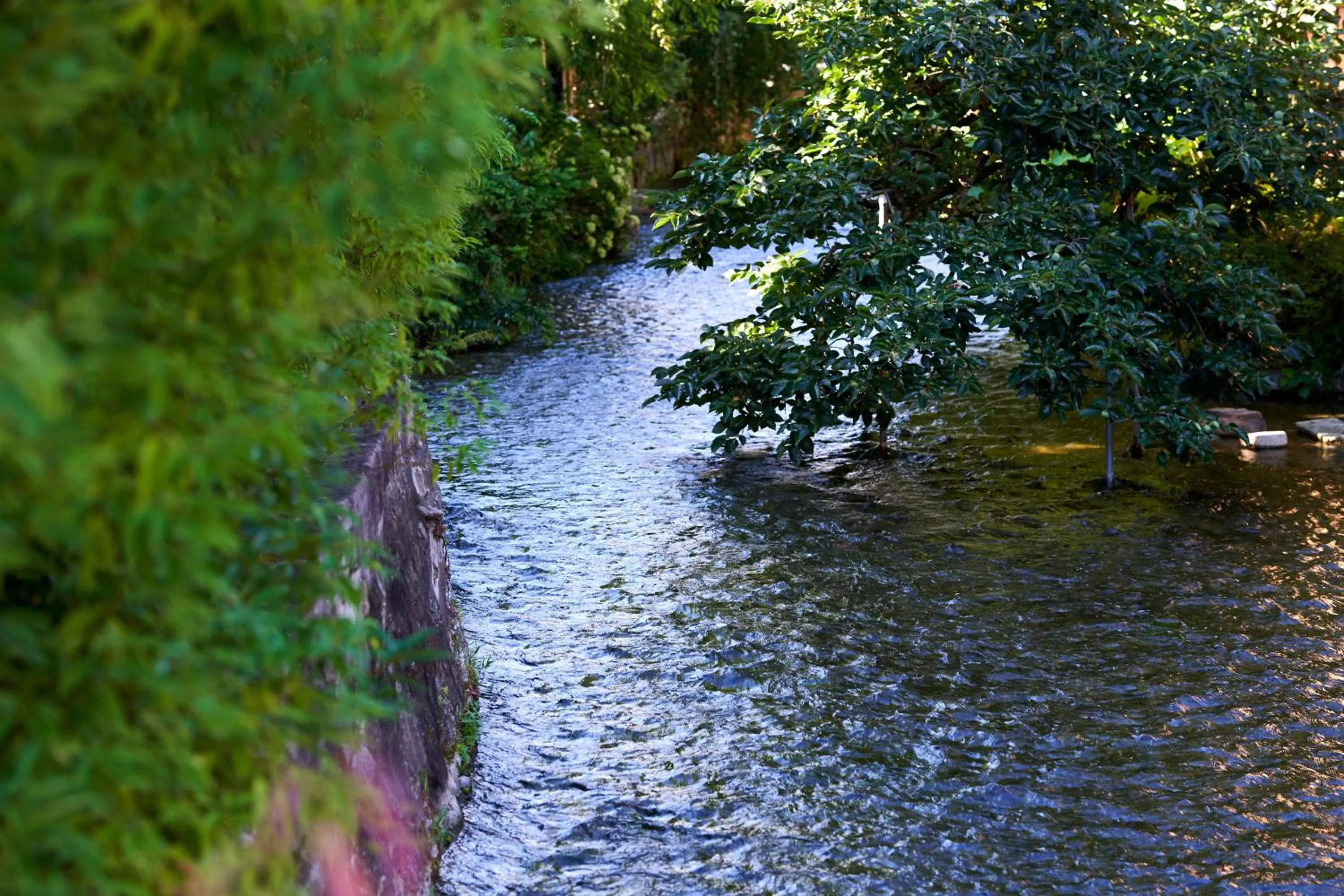 Area and facilities in Tassel Hotel Sanjo Shirakawa