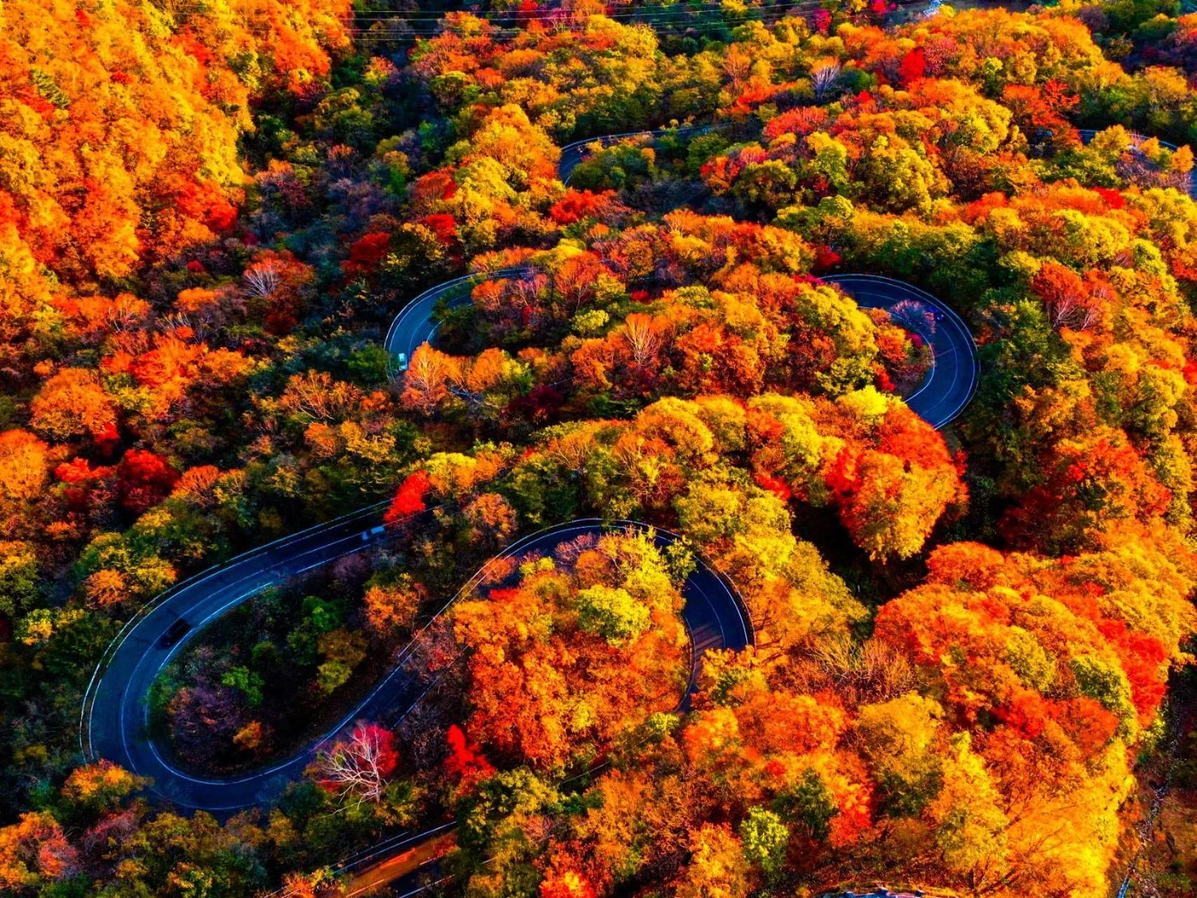 Nearby landmark in Lake Side Nikko Hotel