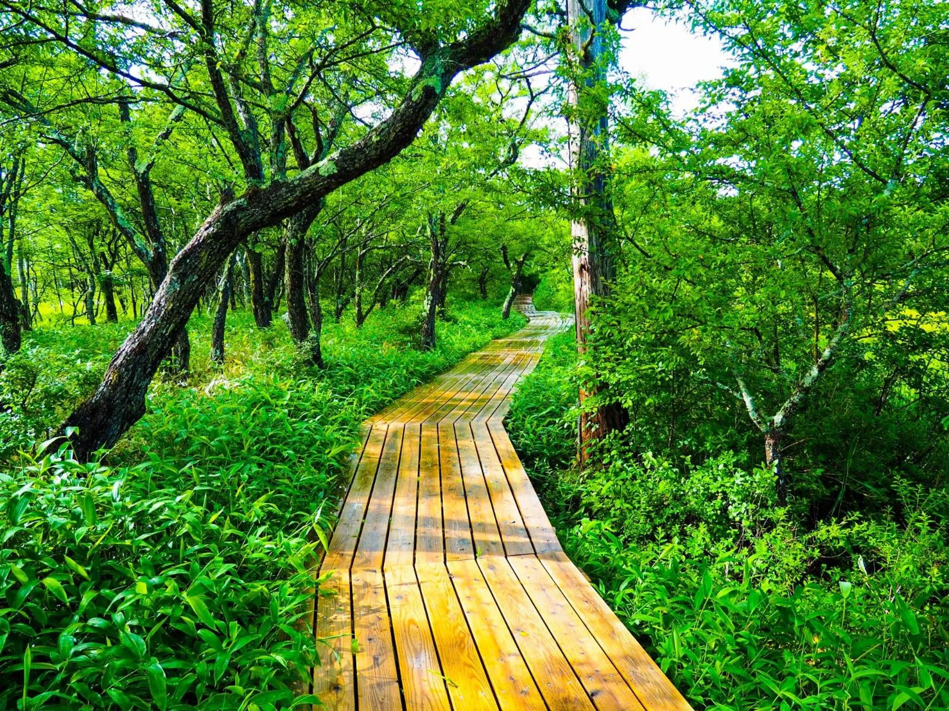 Nearby landmark in Lake Side Nikko Hotel