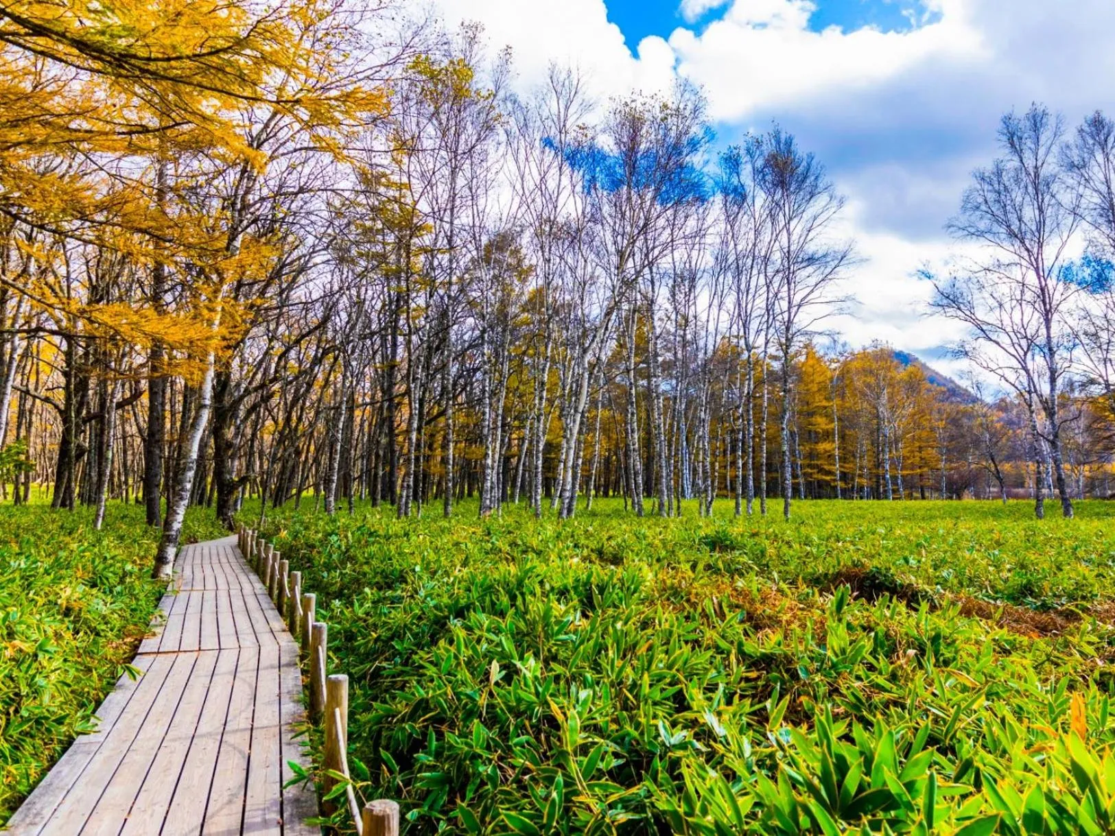 Nearby landmark in Lake Side Nikko Hotel