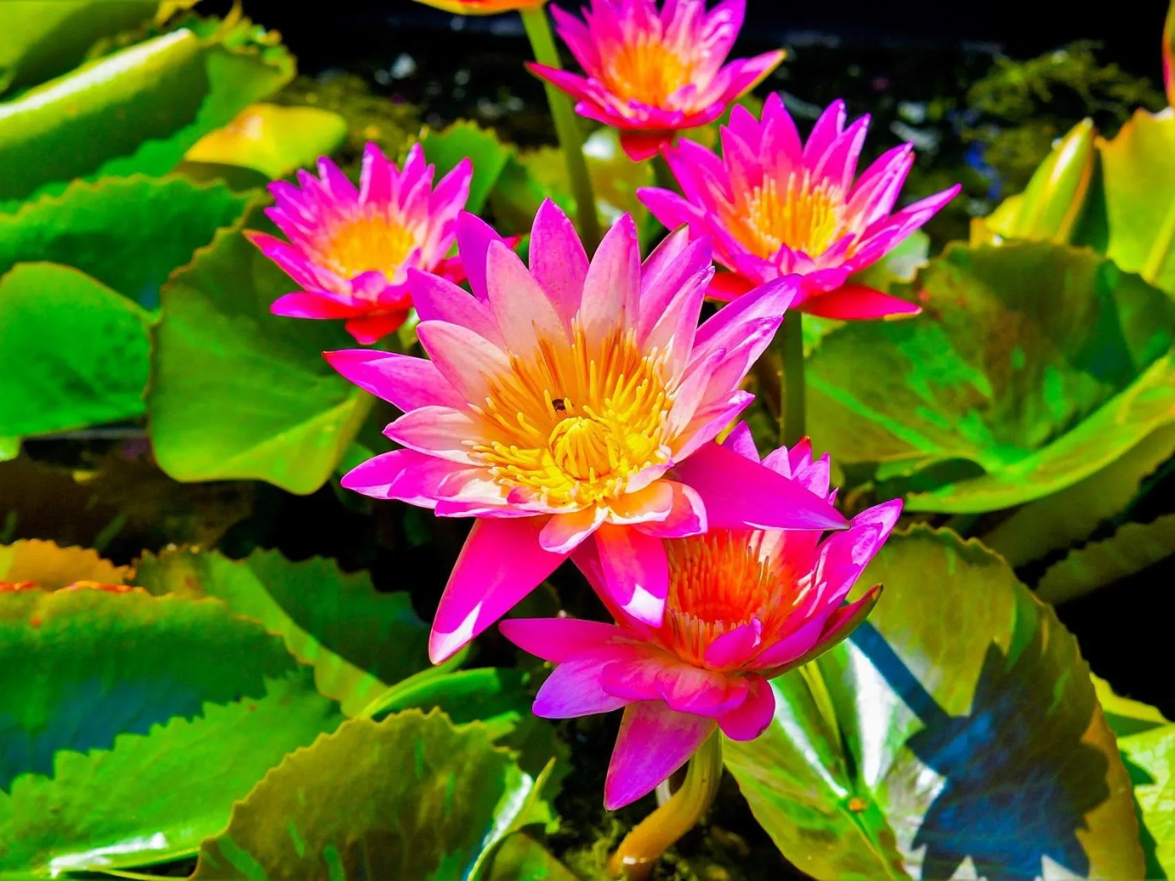 Nearby landmark in Lake Side Nikko Hotel