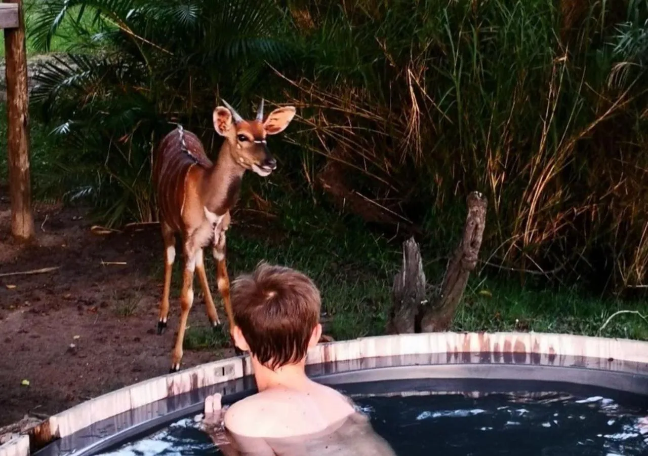 AfriCamps Hoedspruit