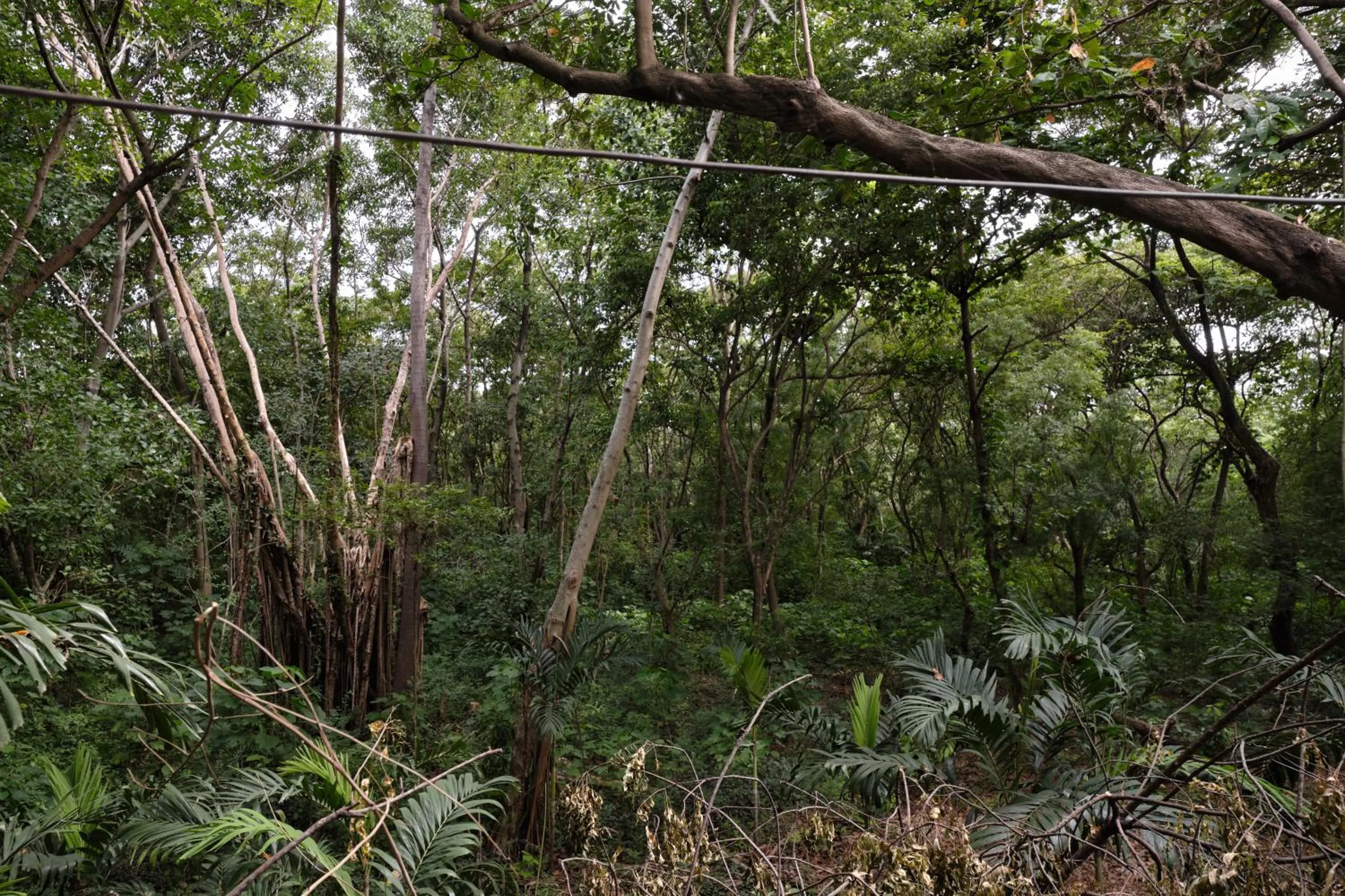 Natural landscape in Hidden Hill Hotel
