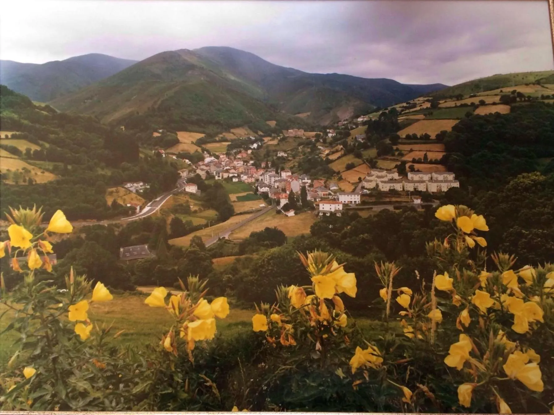 Neighbourhood in Hotel Nueva Allandesa