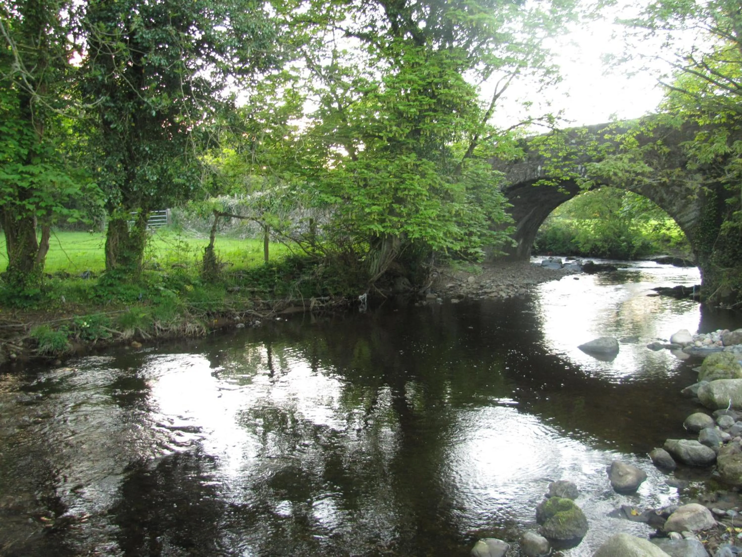 River view in Riverside Lodge