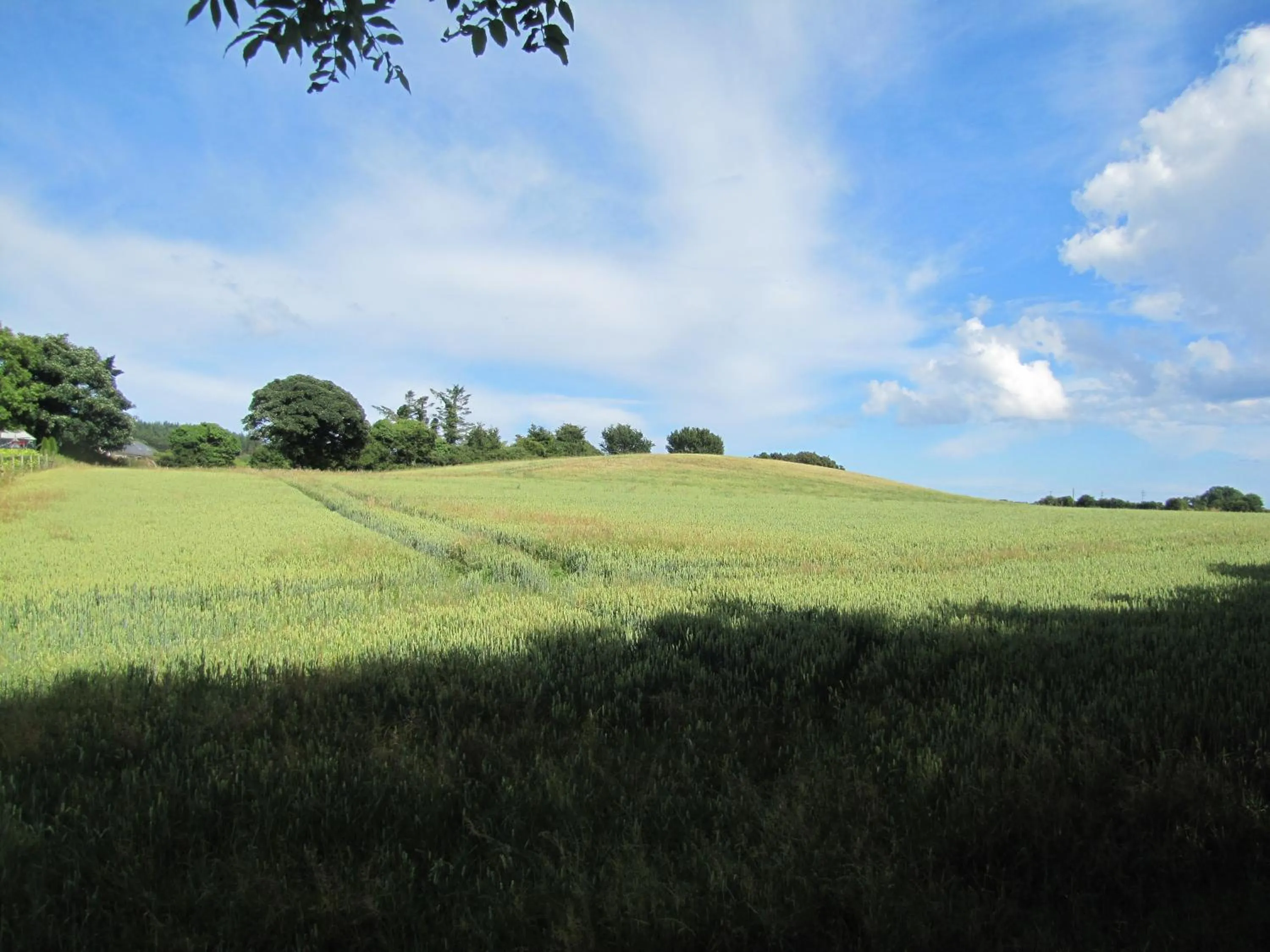 View (from property/room) in Riverside Lodge