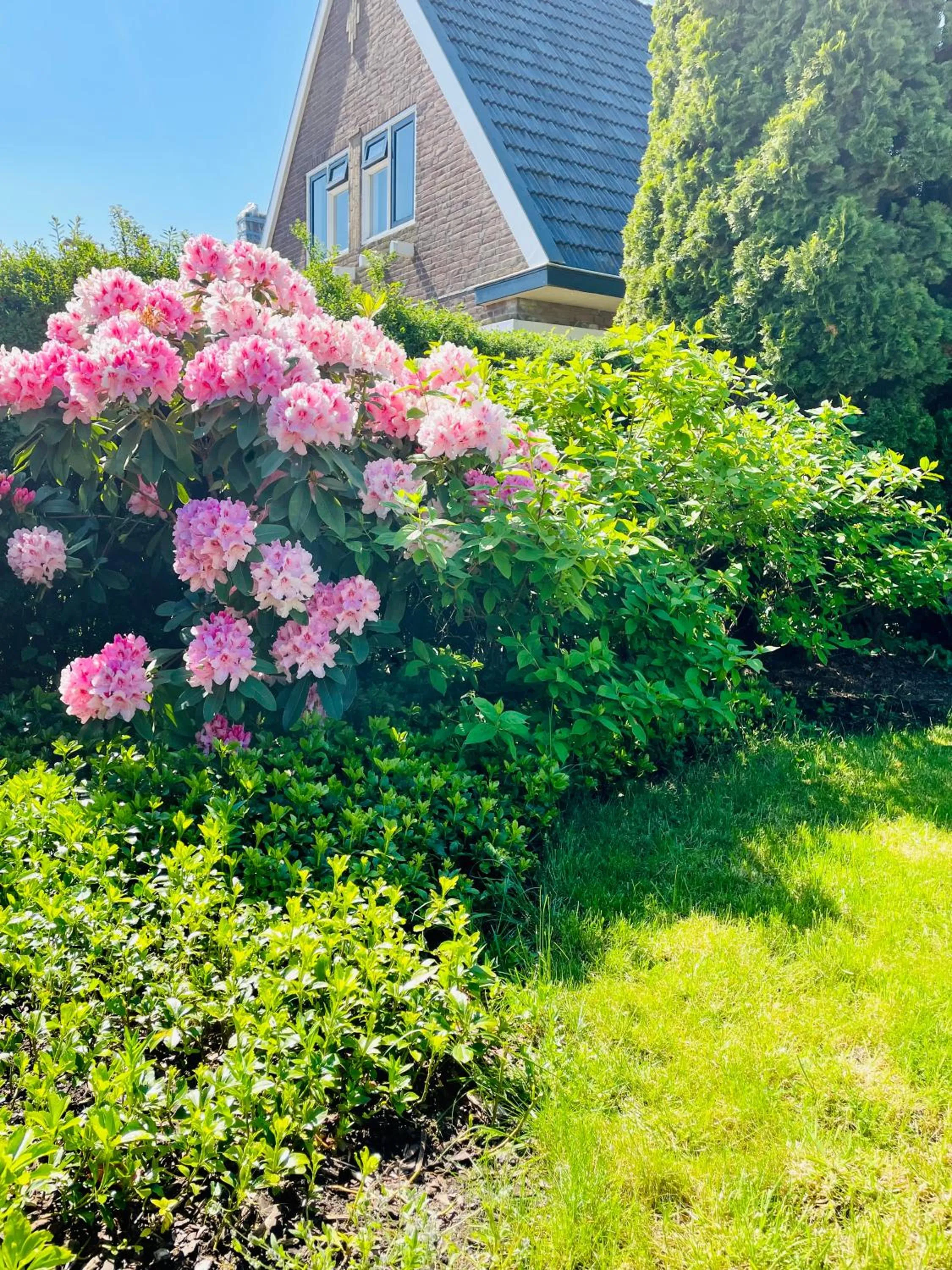 Garden in Herberg Het Rechthuis
