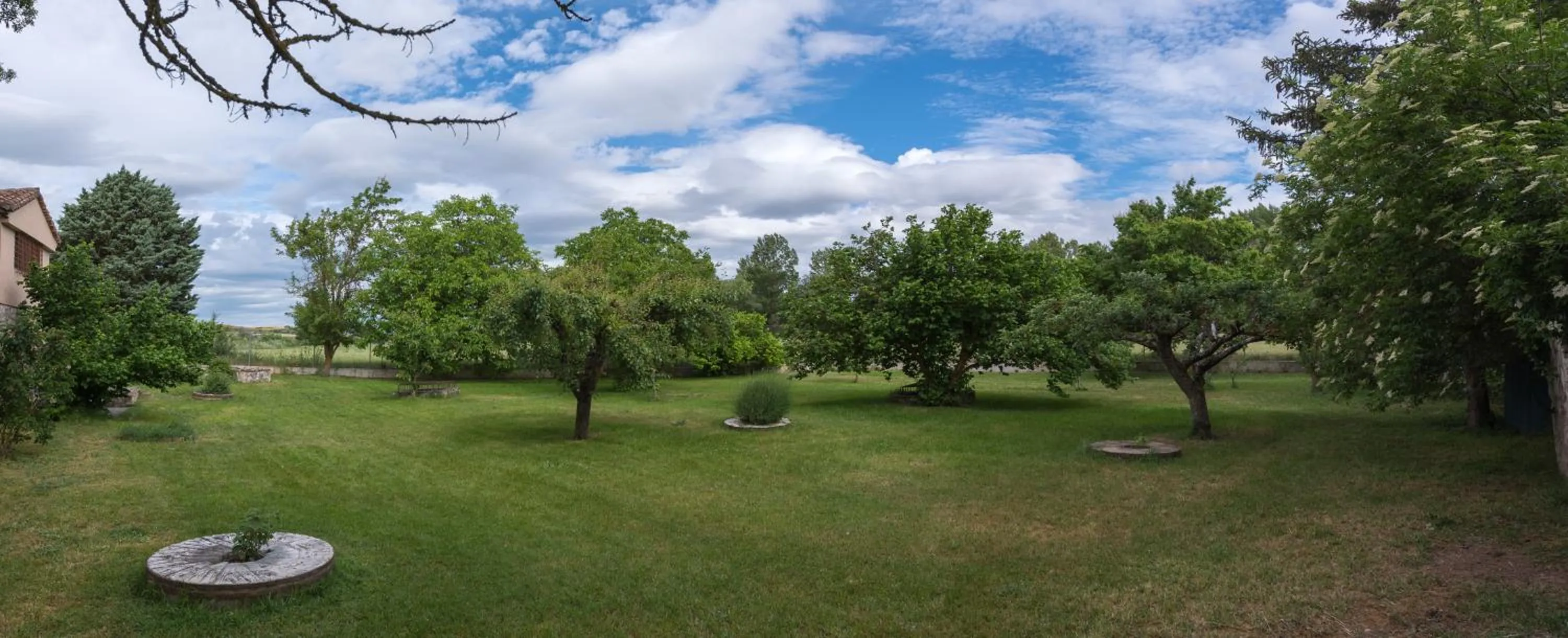 Garden in Molino De La Vega