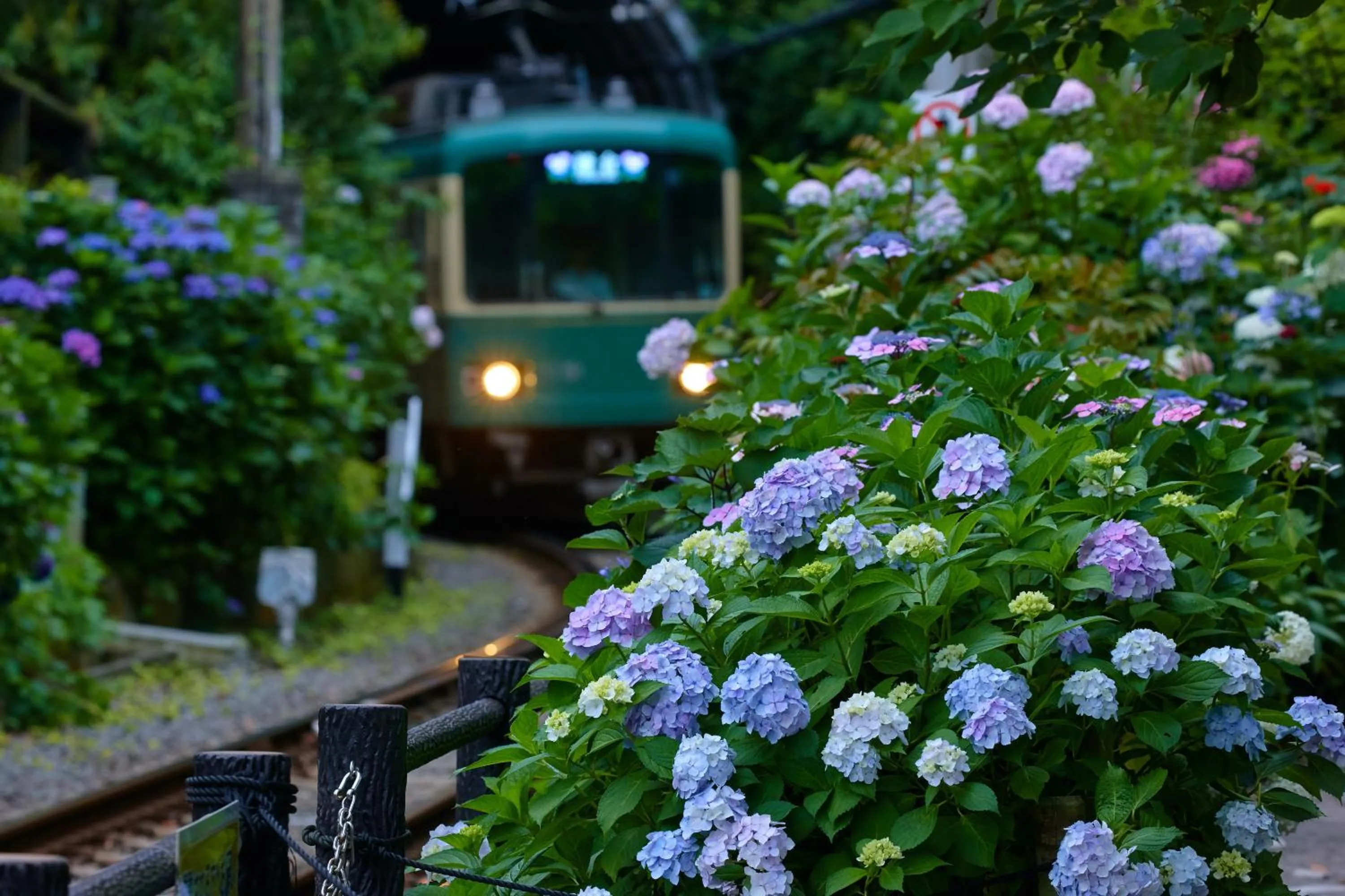 Nearby landmark in KAMAKURA Hotel