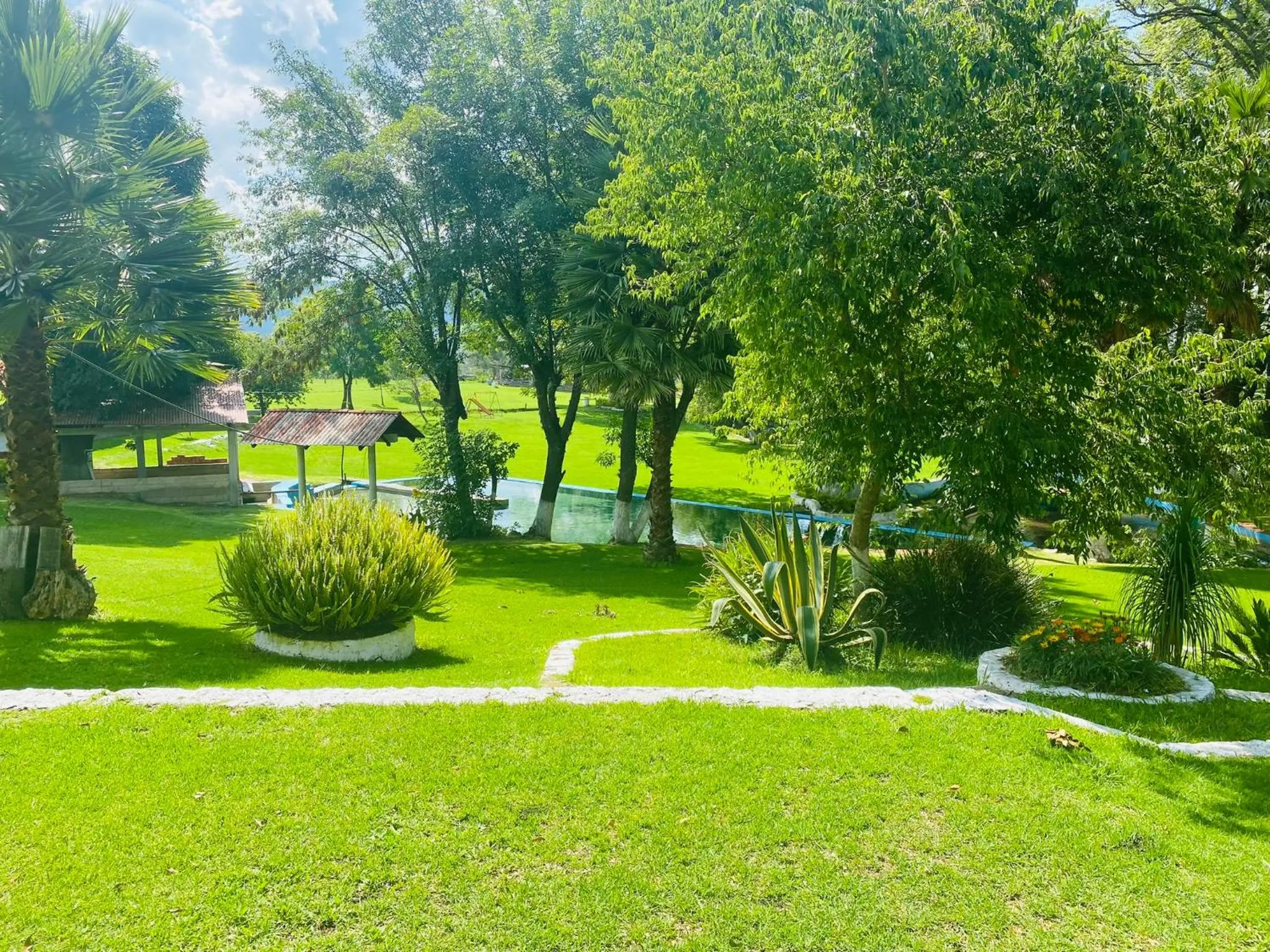 Garden in HOTEL EX HACIENDA EL MOLINO