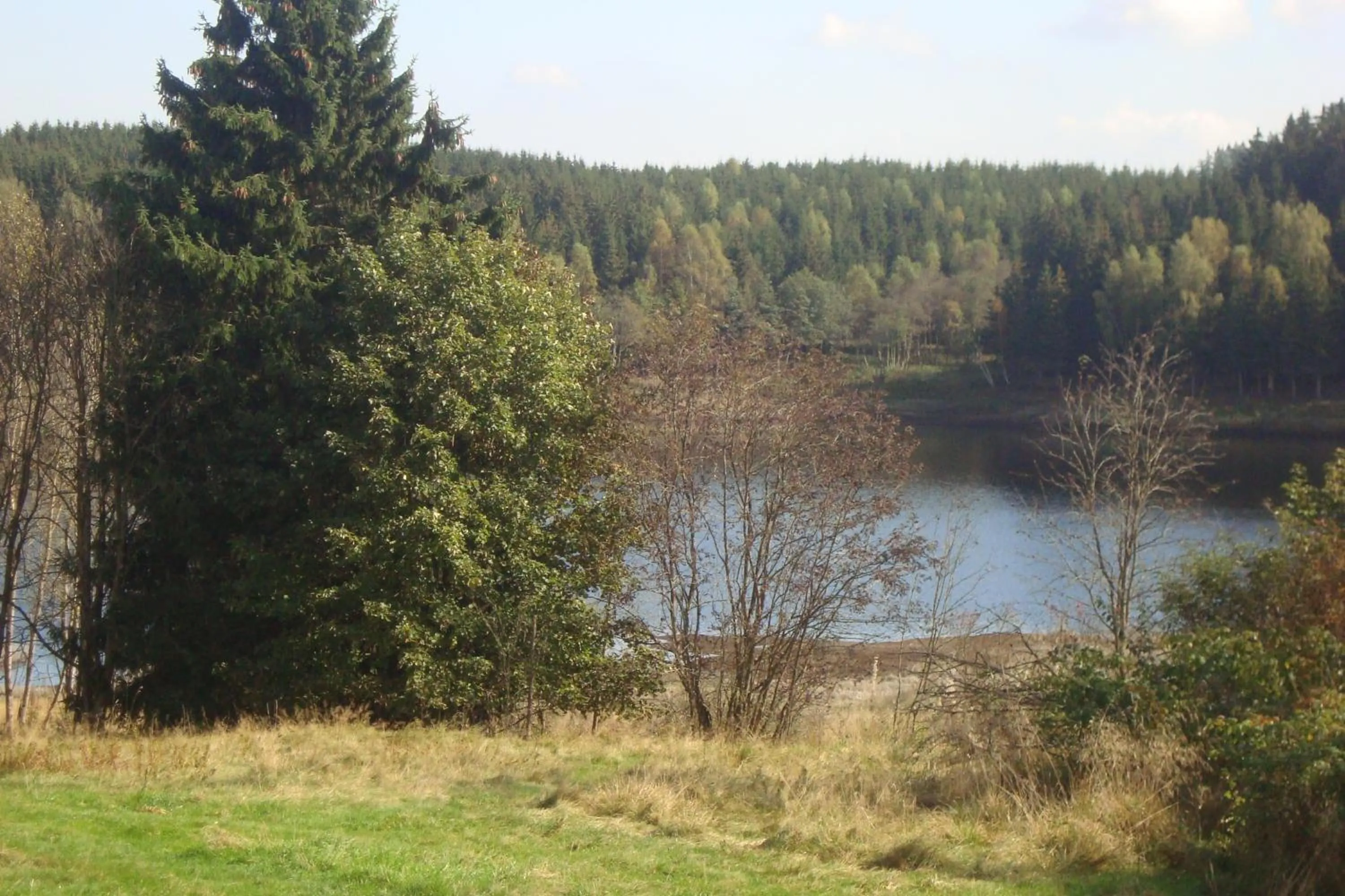 Area and facilities in Hotel zur Post