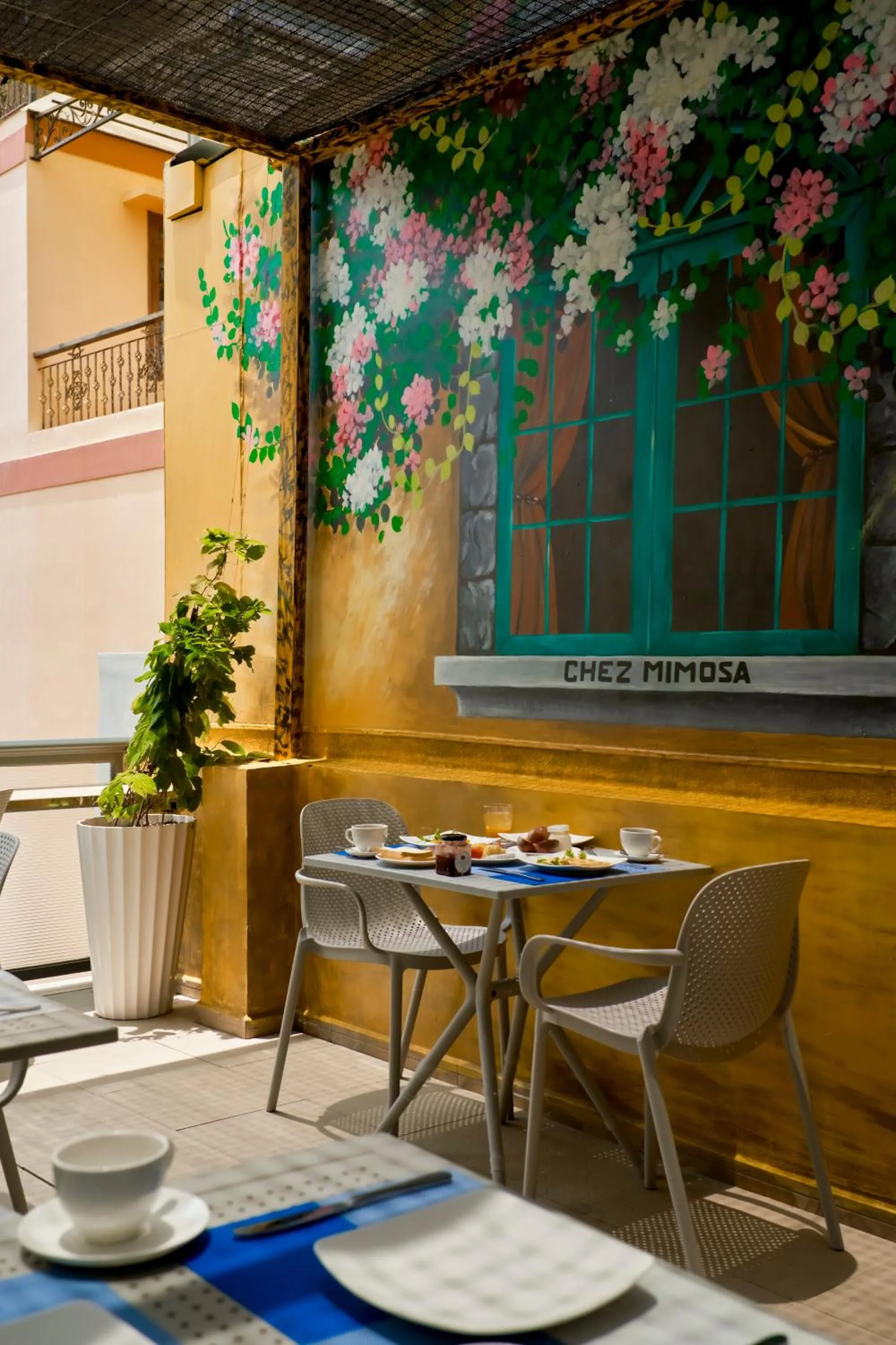 Breakfast in Chez Mimosa Petite - Free Laundry