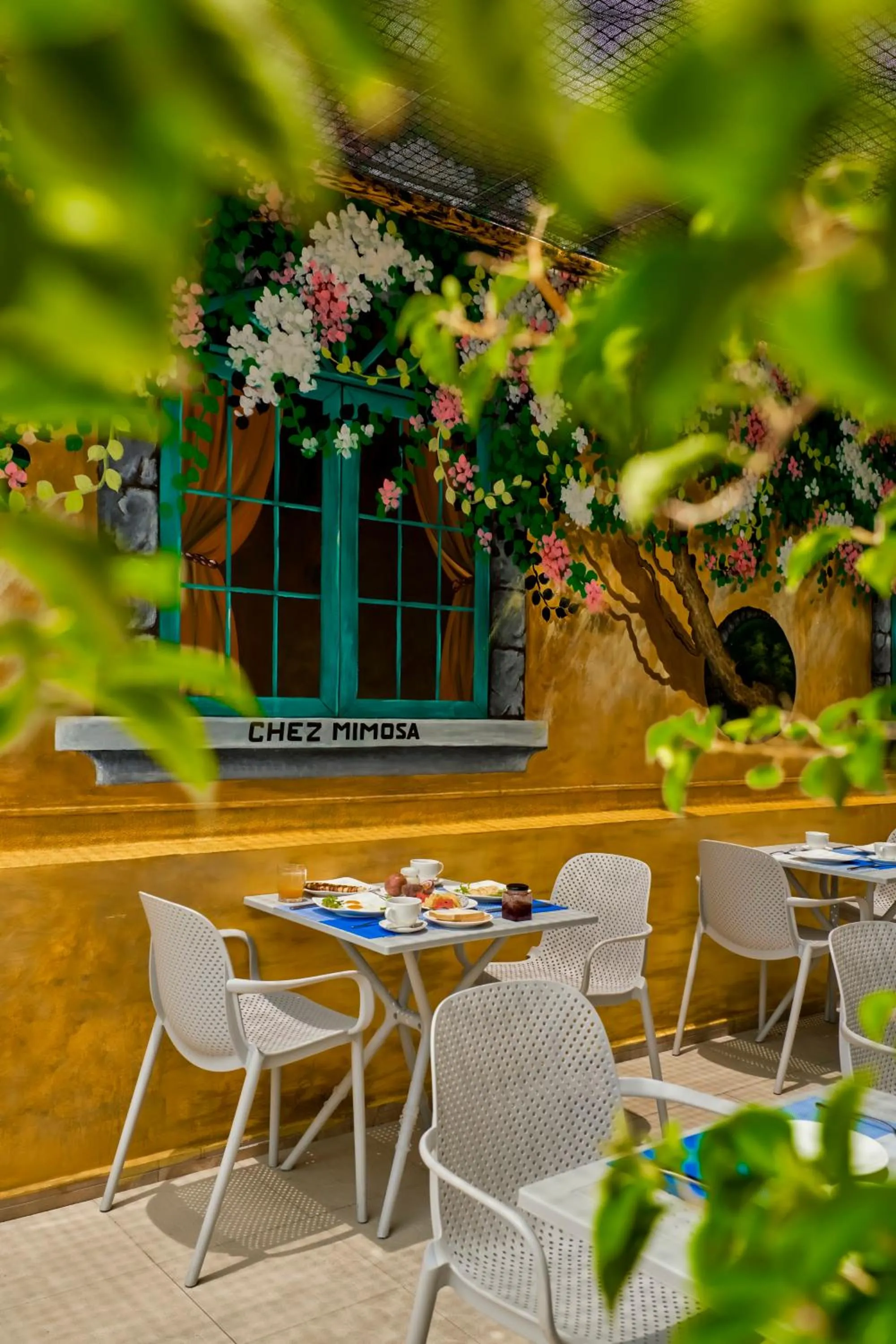 Restaurant/places to eat in Chez Mimosa Petite - Free Laundry