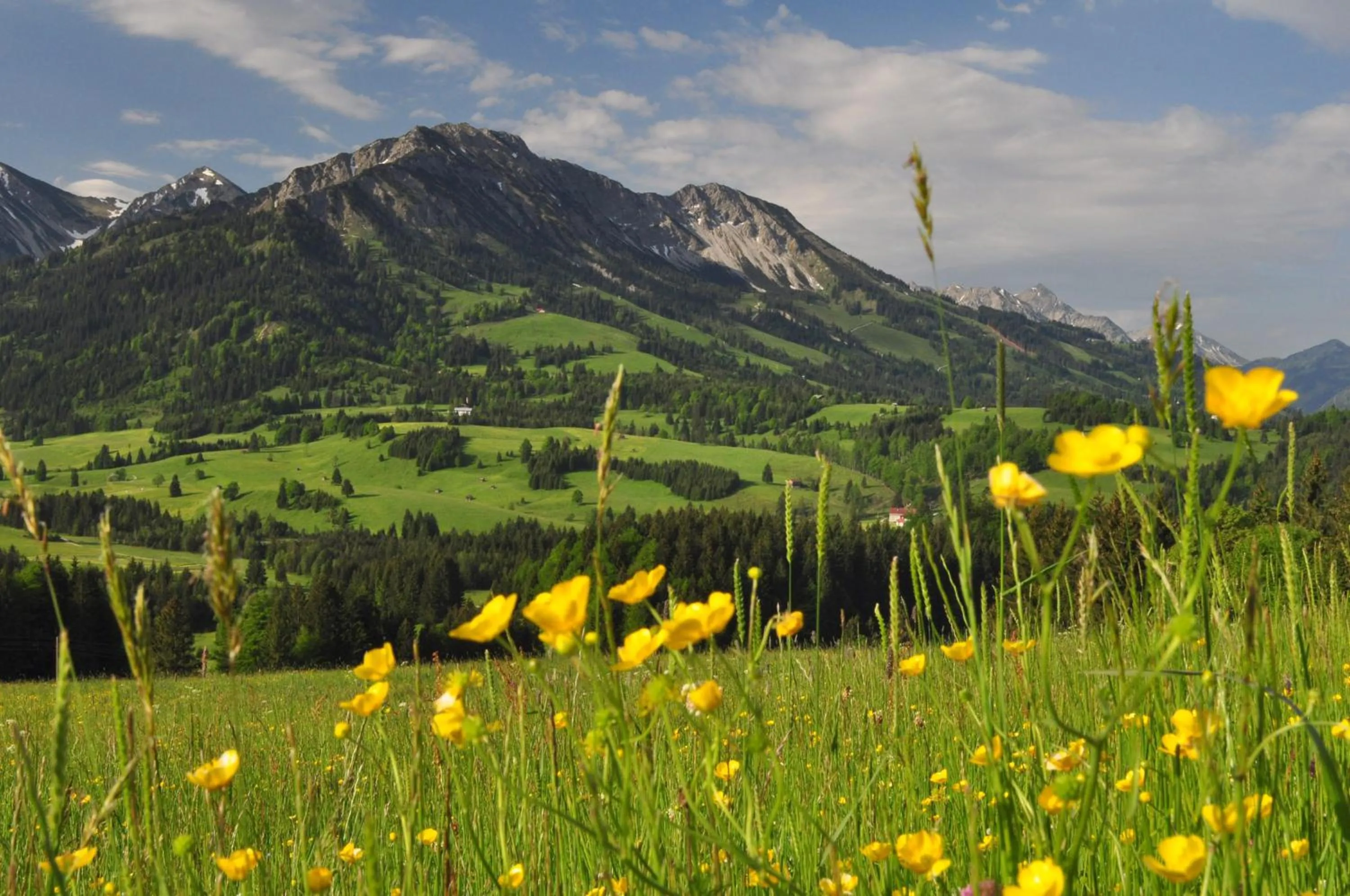 Spring in Sonnenpark, Ihr Bett im Allgäu