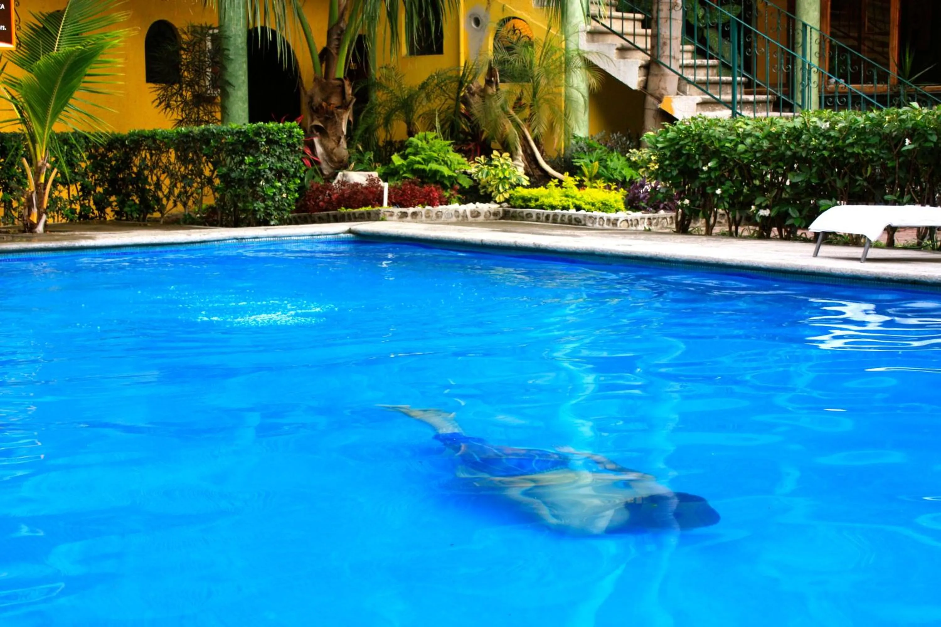 Swimming pool in Hotel Oaxtepec