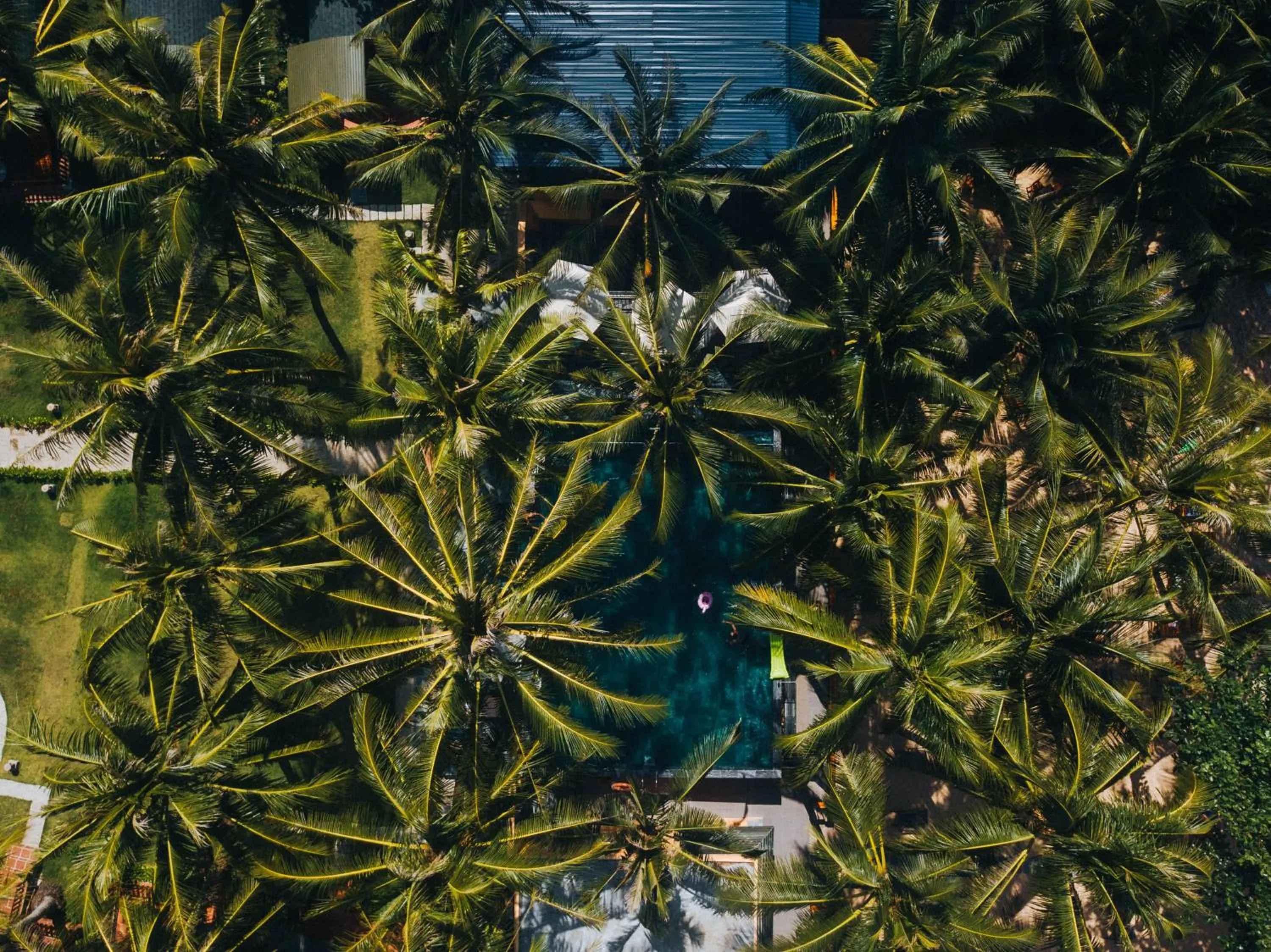 Natural landscape in Vida Loca Sunset Beach Resort