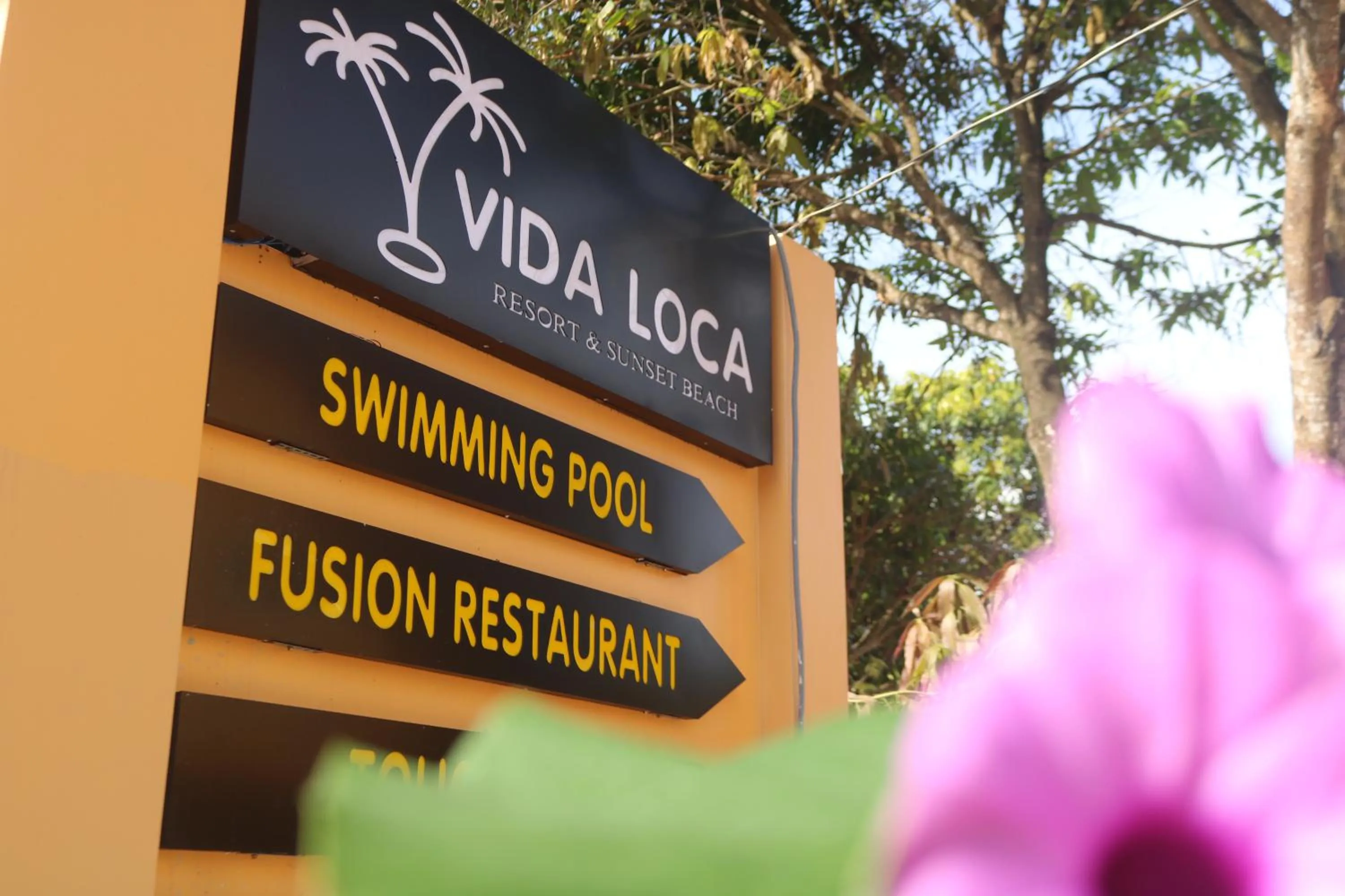 Property logo or sign in Vida Loca Sunset Beach Resort