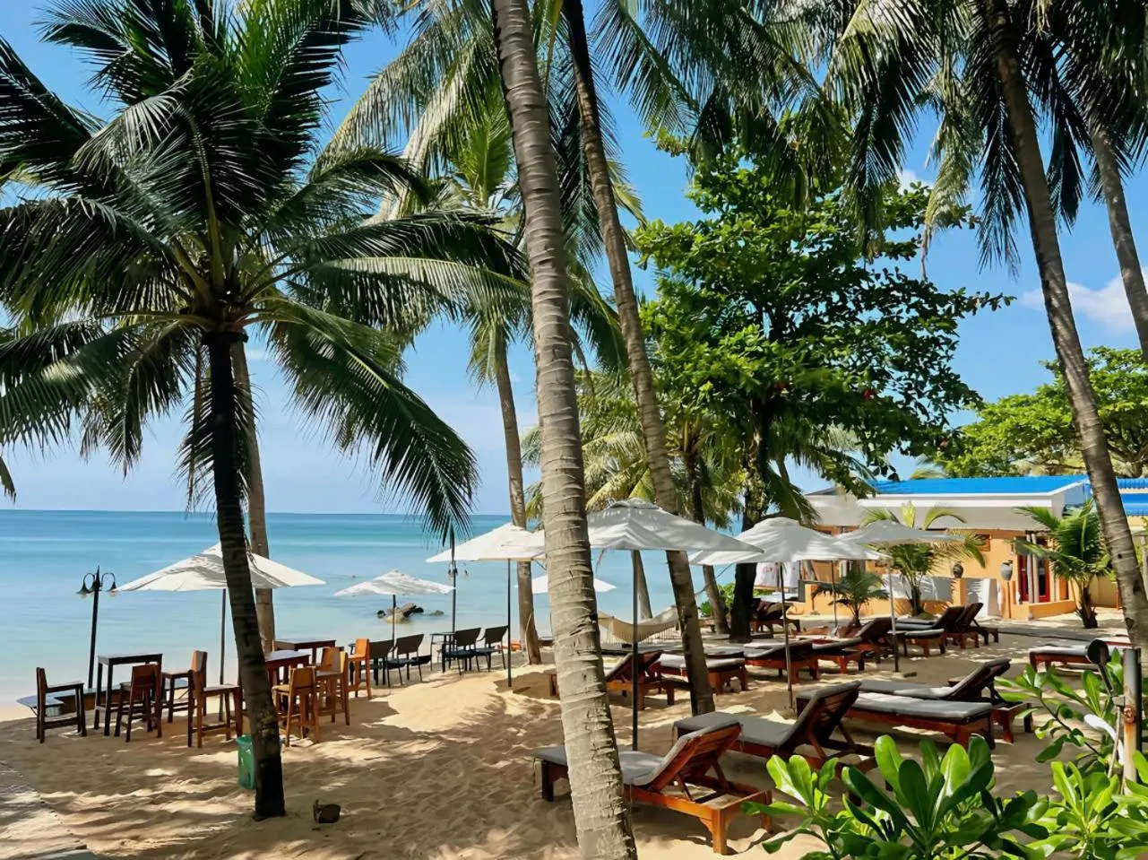 View (from property/room) in Vida Loca Sunset Beach Resort