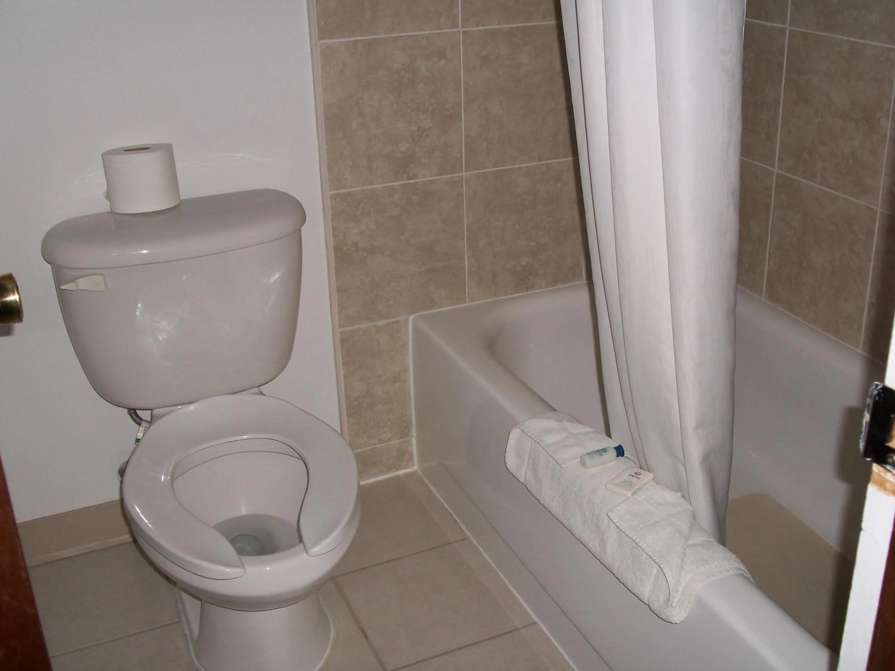 Toilet in A Wyoming Inn