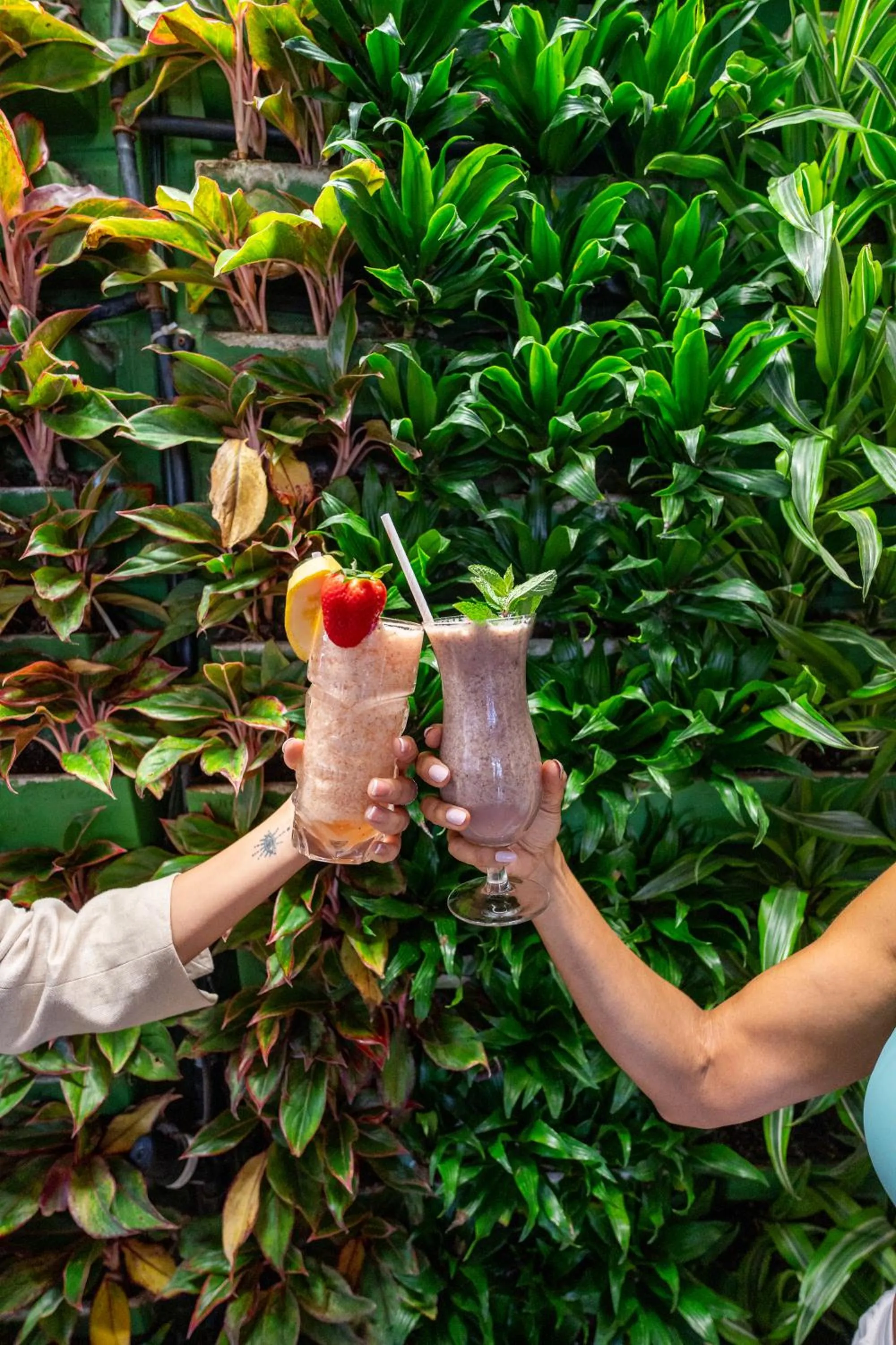 Drinks in Circa 39 Miami Beach