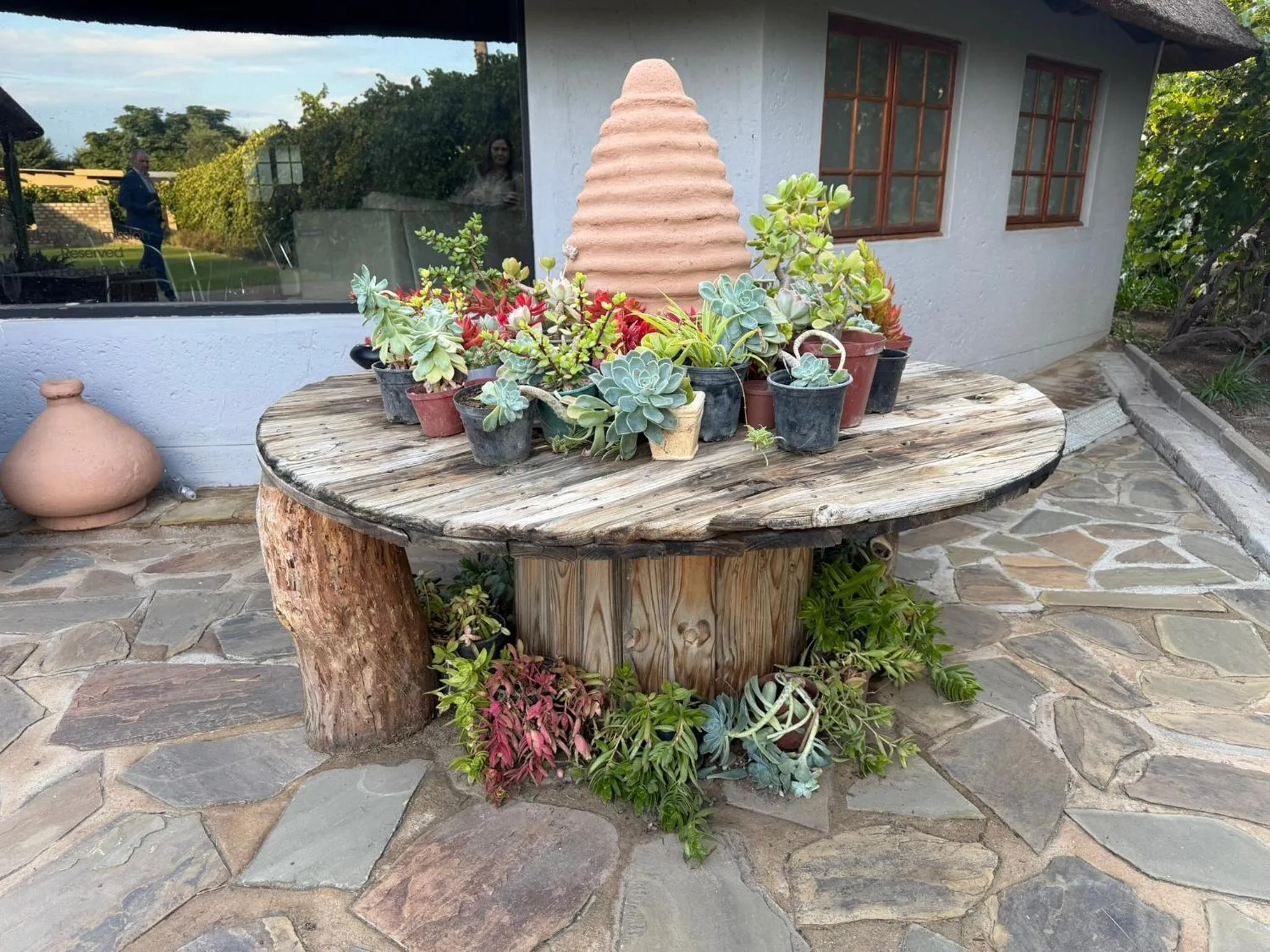 Garden in Droombos Boutique Hotel