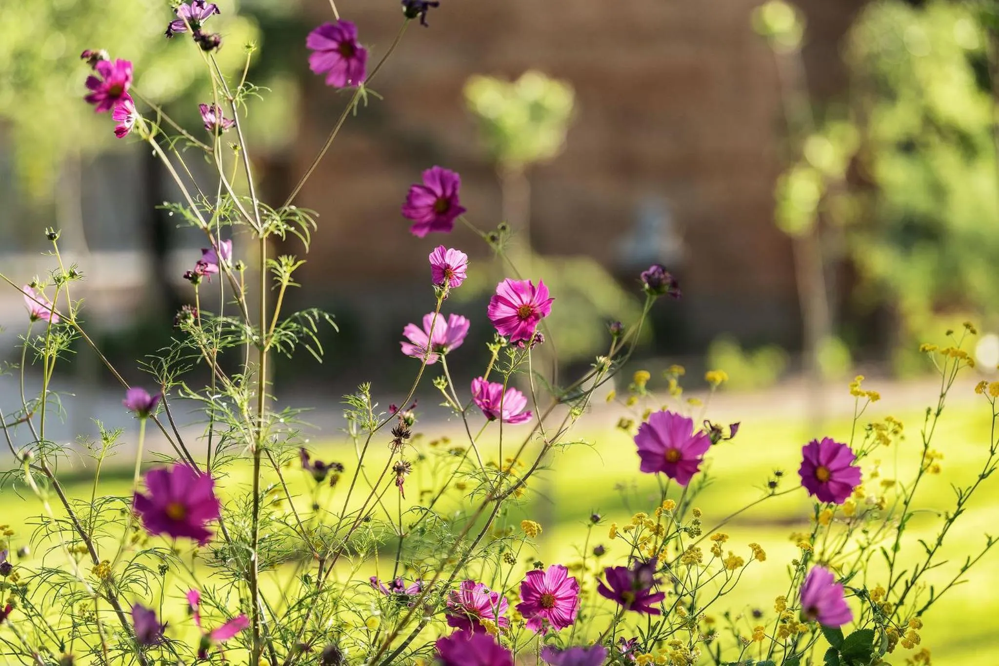 Spring in Droombos Boutique Hotel