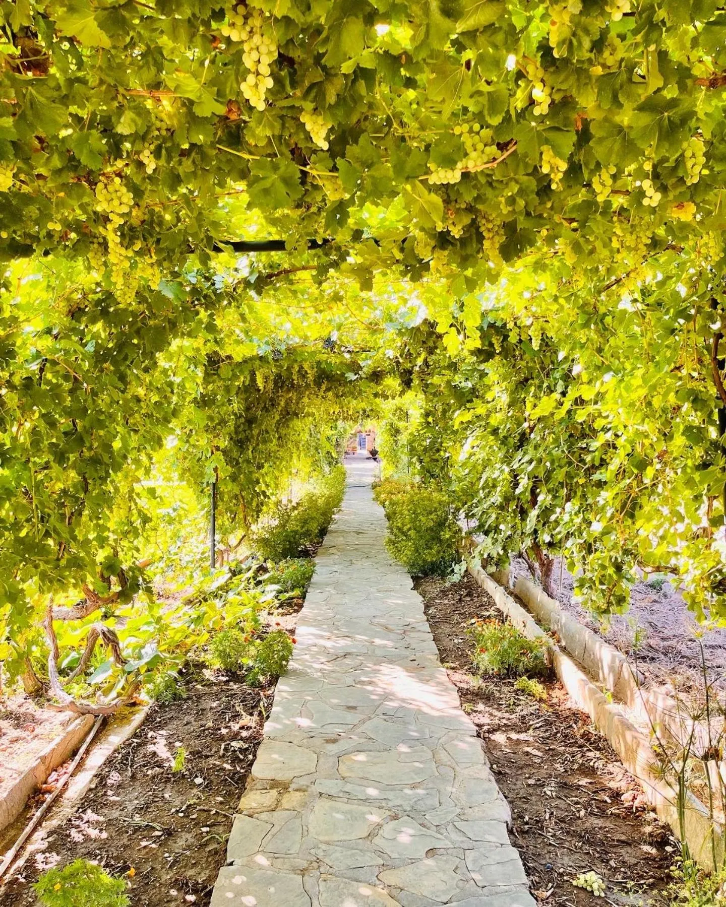 Spring in Droombos Boutique Hotel