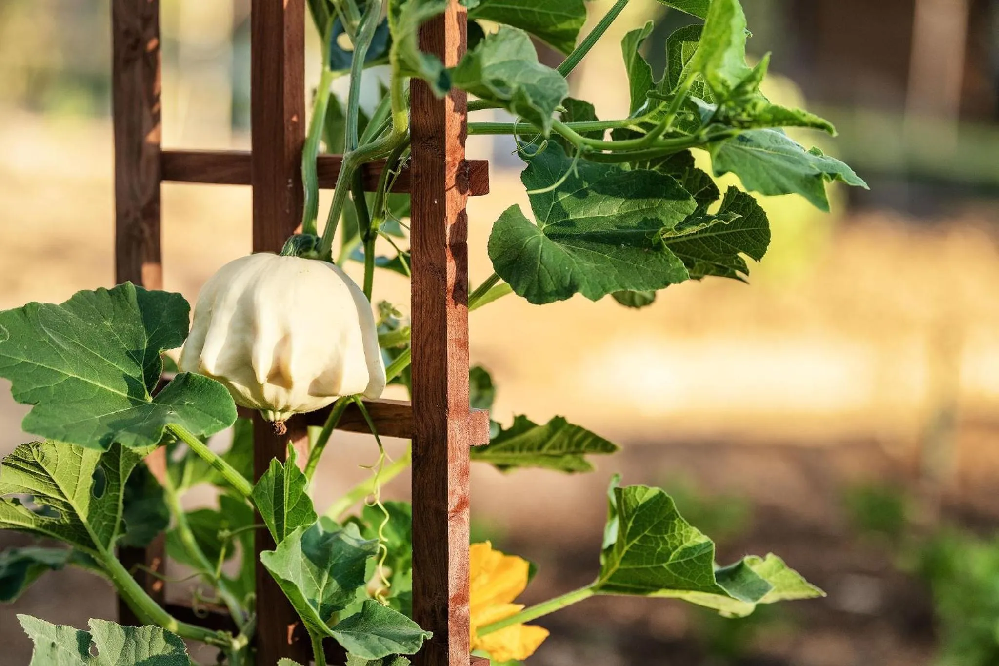 Spring in Droombos Boutique Hotel