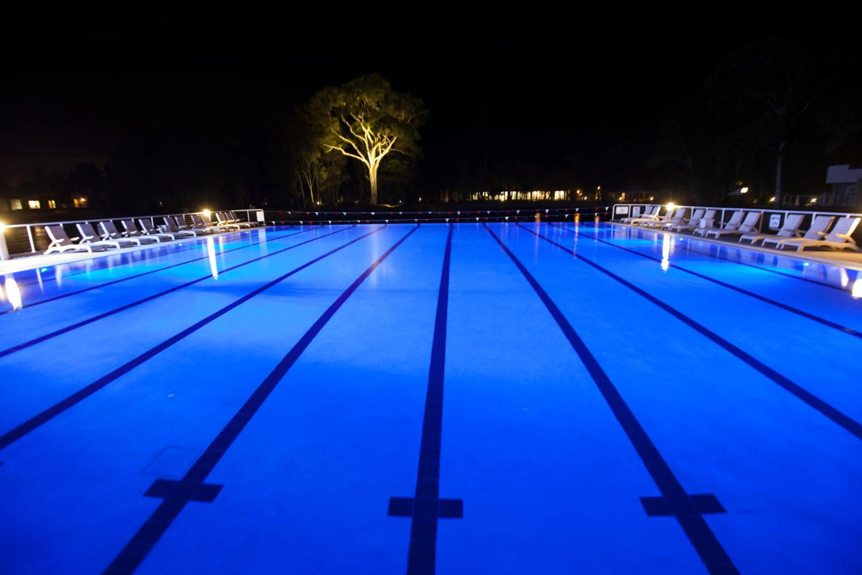 Pool view, Swimming Pool in Couran Cove Island Resort