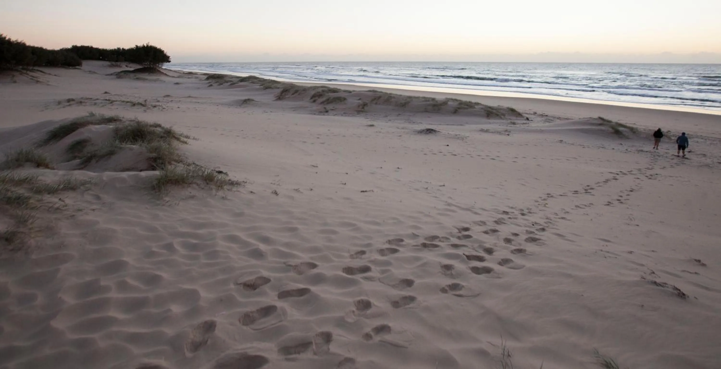 Beach in Couran Cove Island Resort
