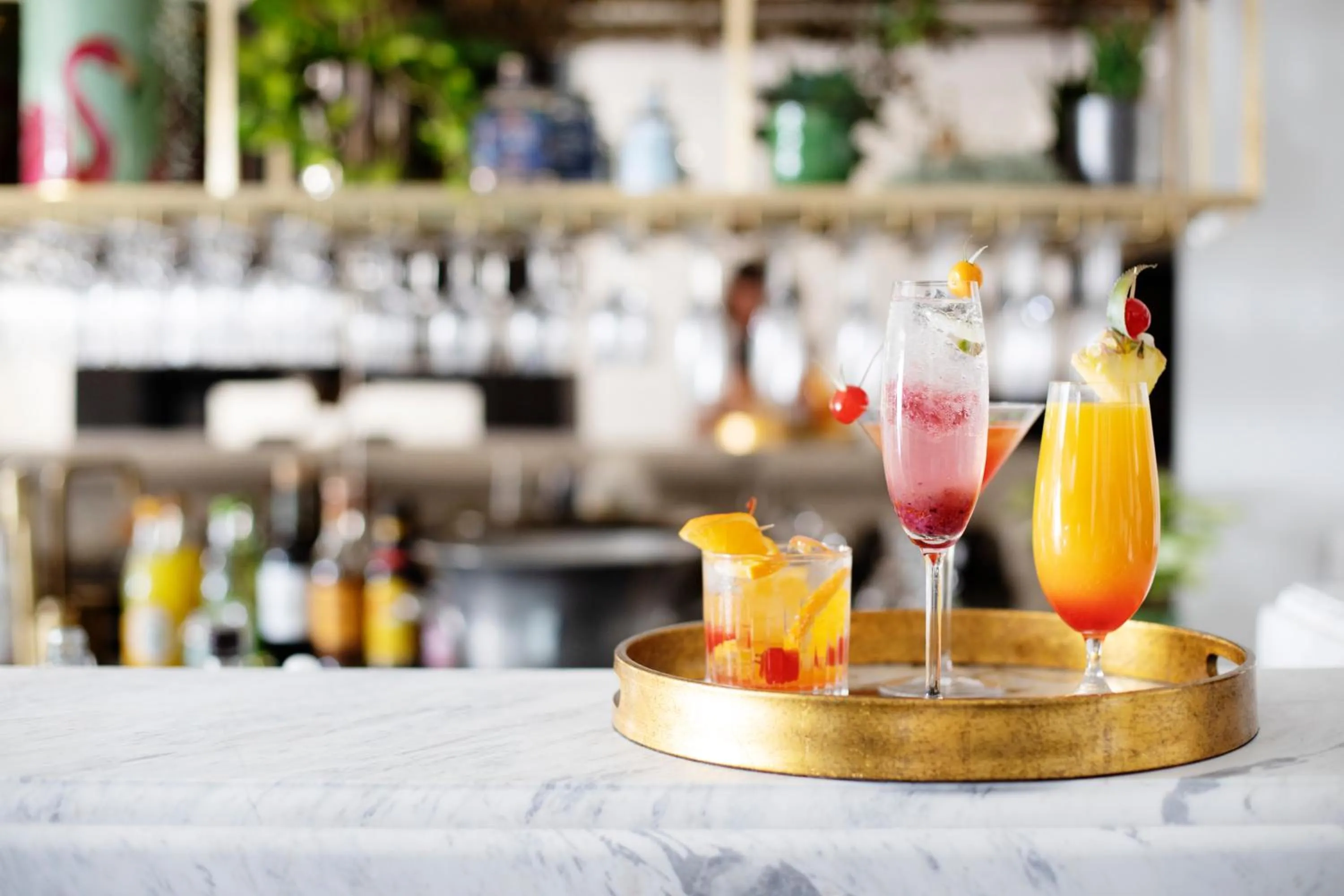 Drinks in Camissa House