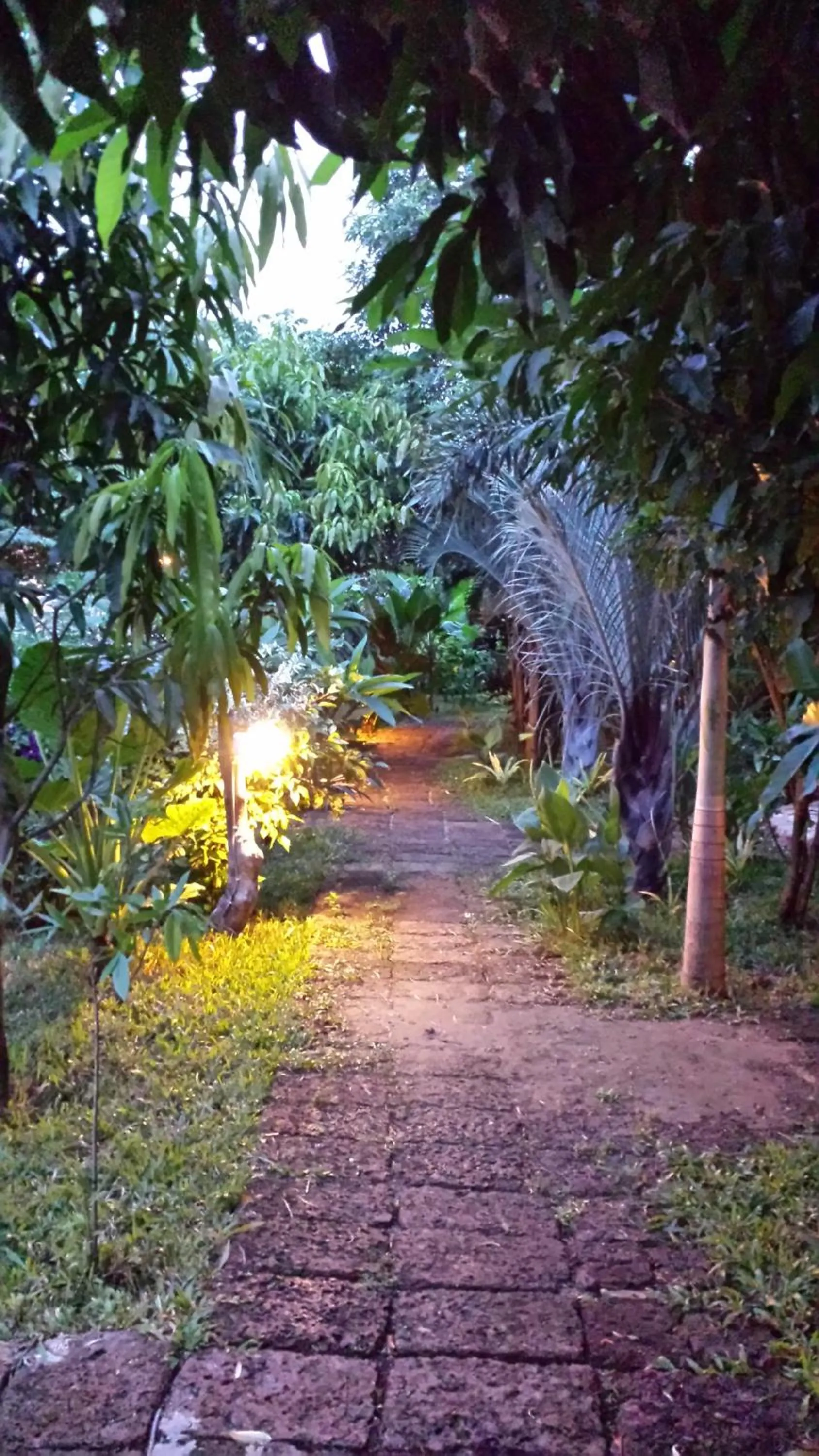 Natural landscape in TARA LODGE Haven of peace