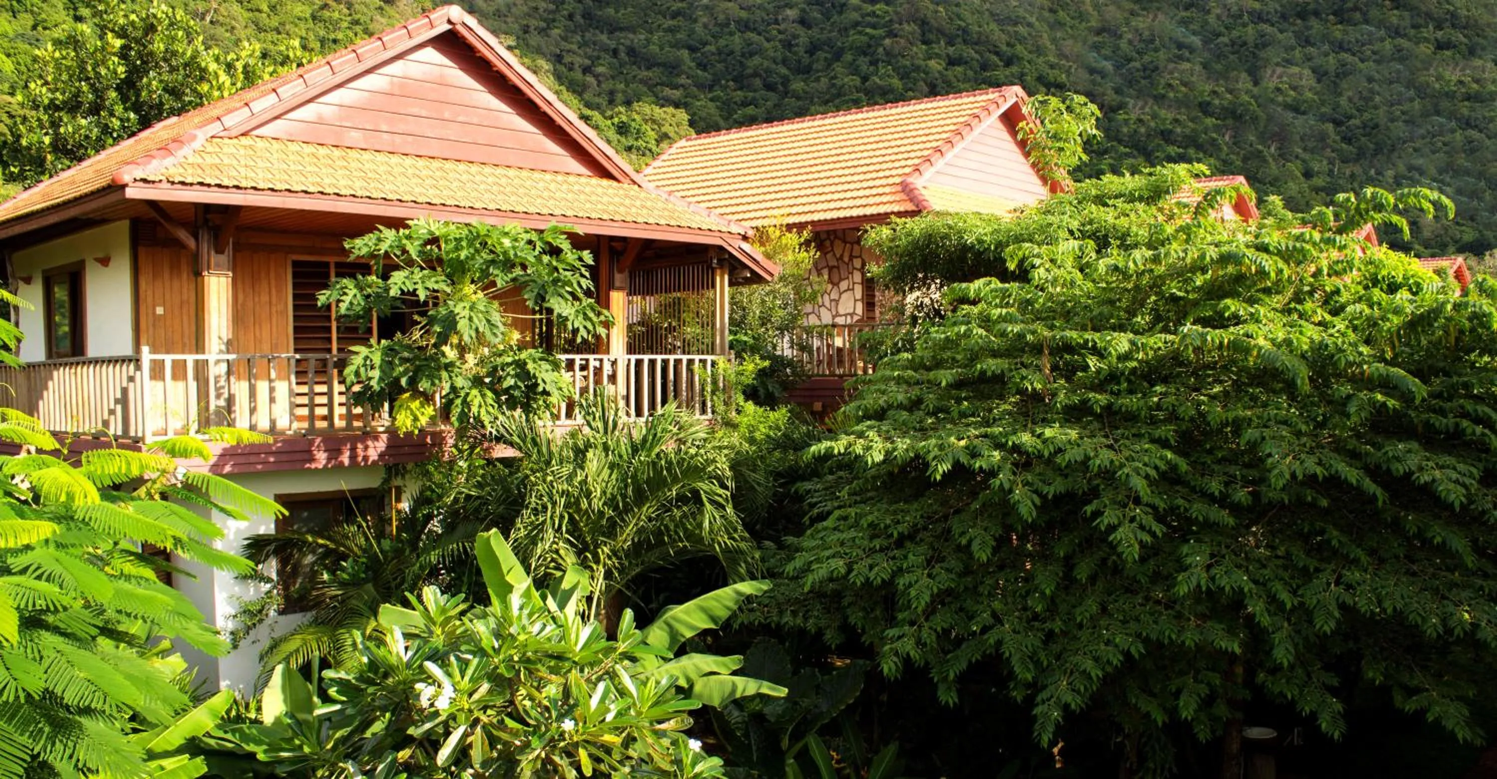 Property building in TARA LODGE Haven of peace