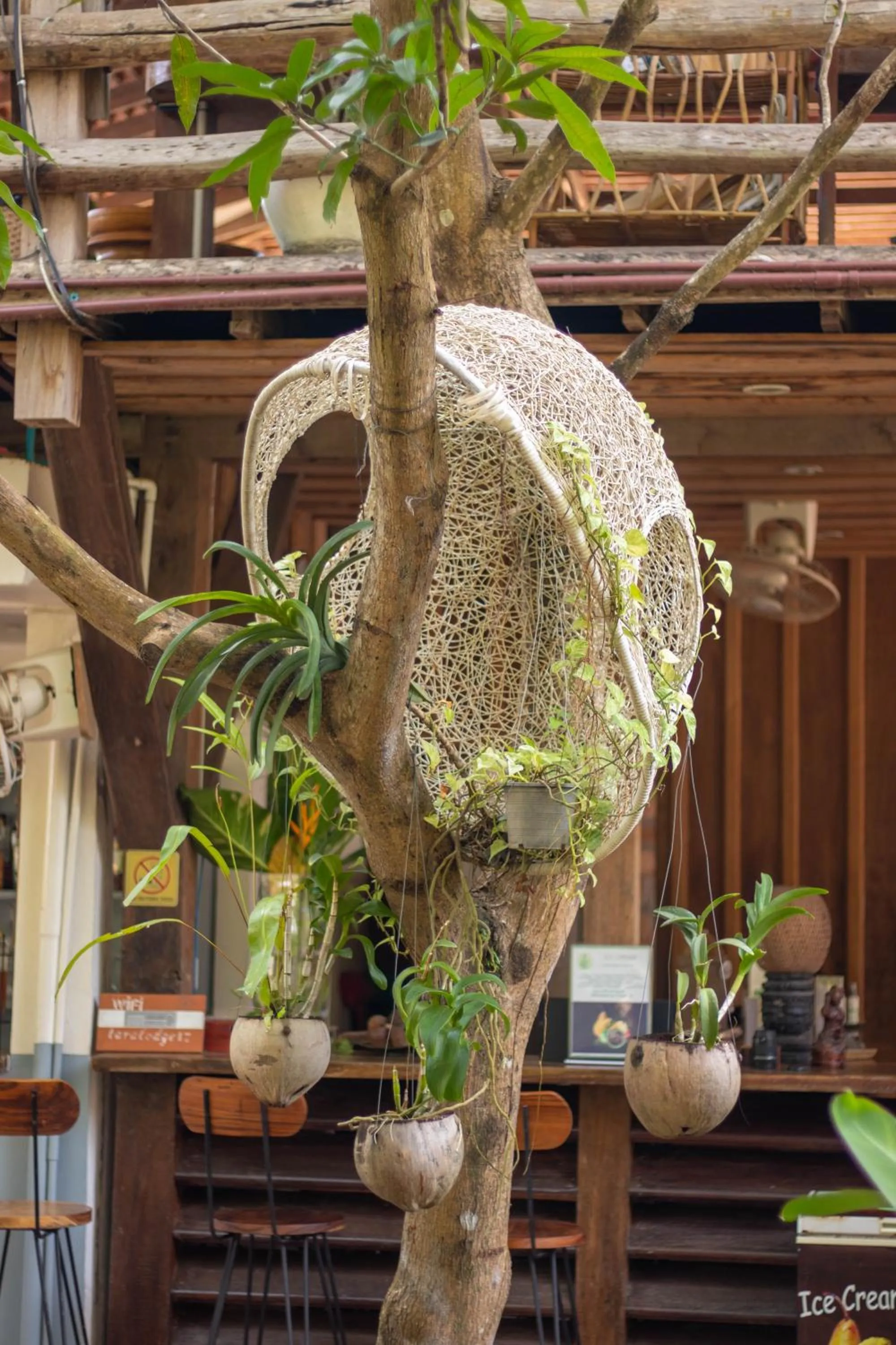 Lounge or bar in TARA LODGE Haven of peace