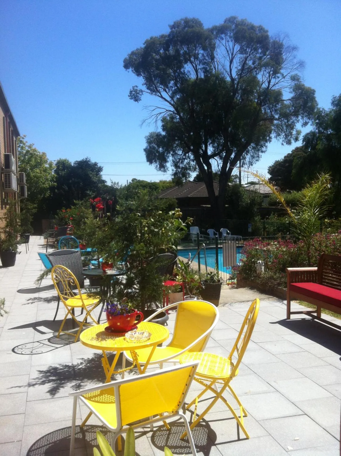 Garden in Parkwood Motel & Apartments