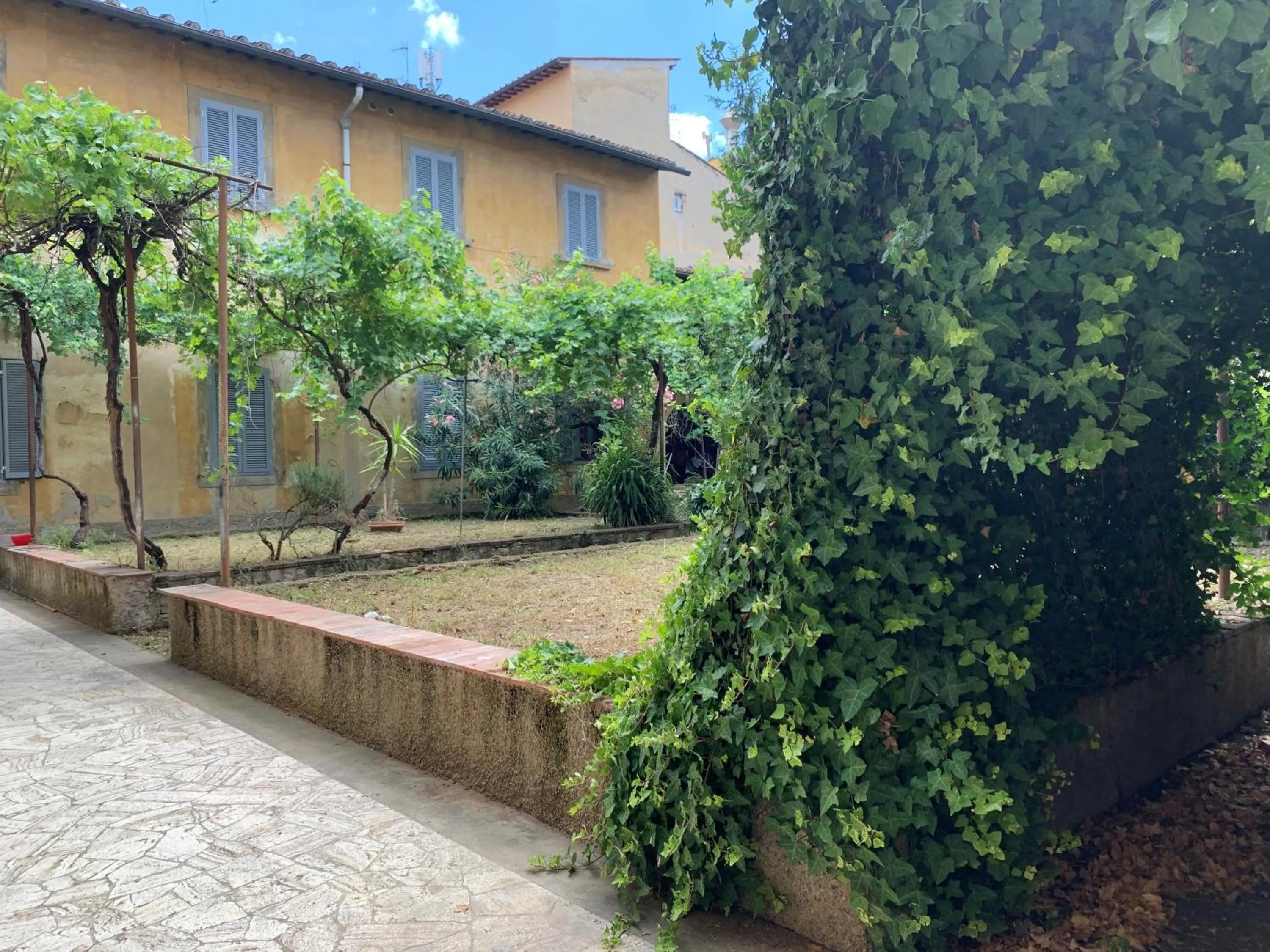 Garden in NEW GENERATION HOSTEL Florence