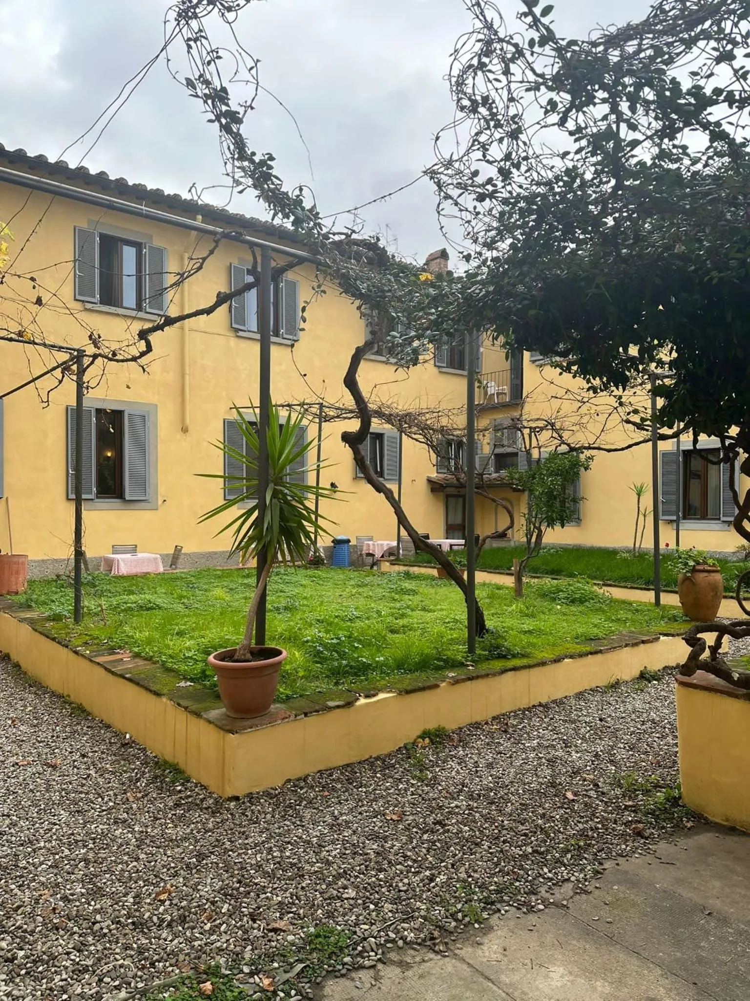Garden in NEW GENERATION HOSTEL Florence