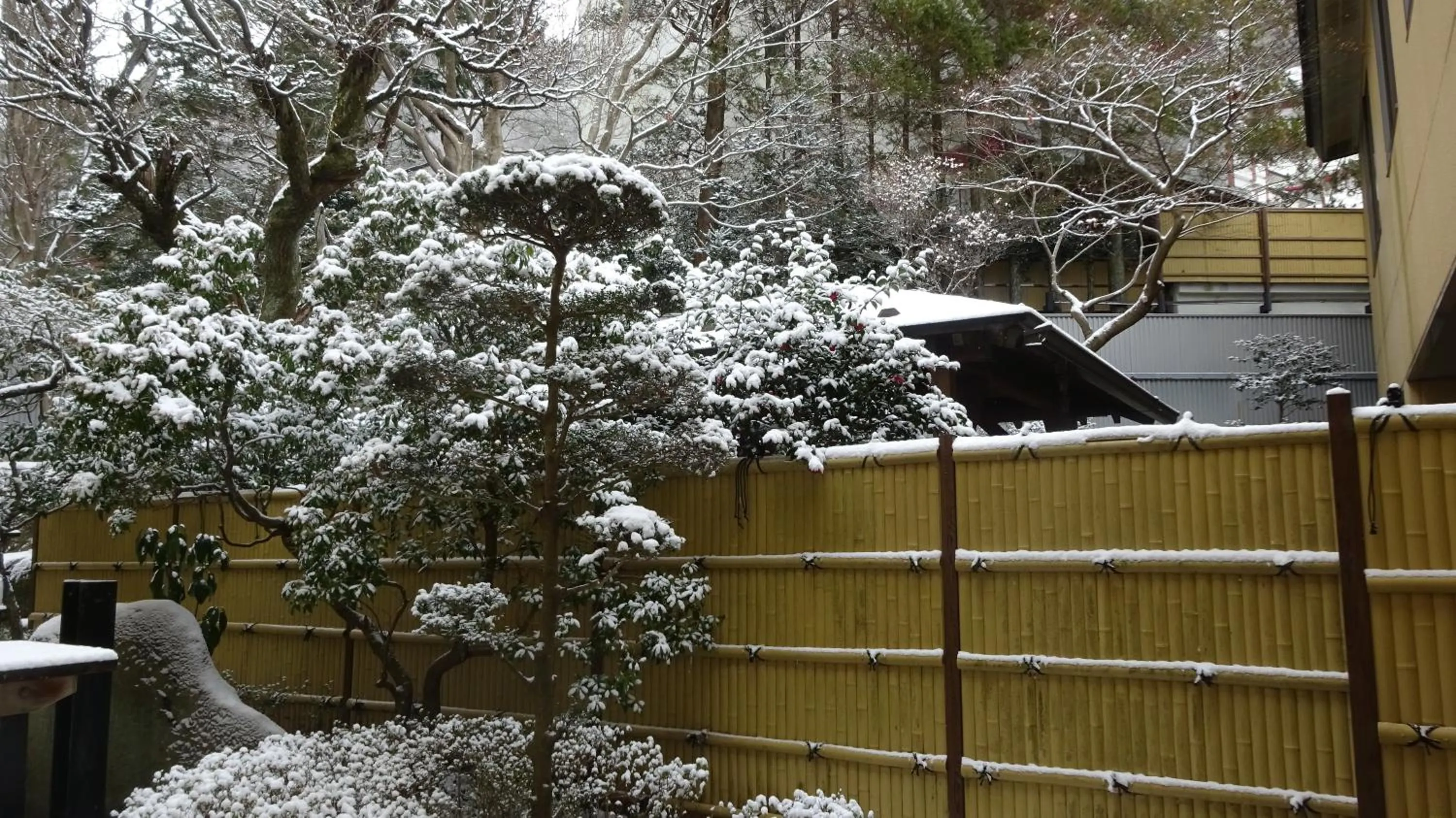 Garden in Hotel Kinu