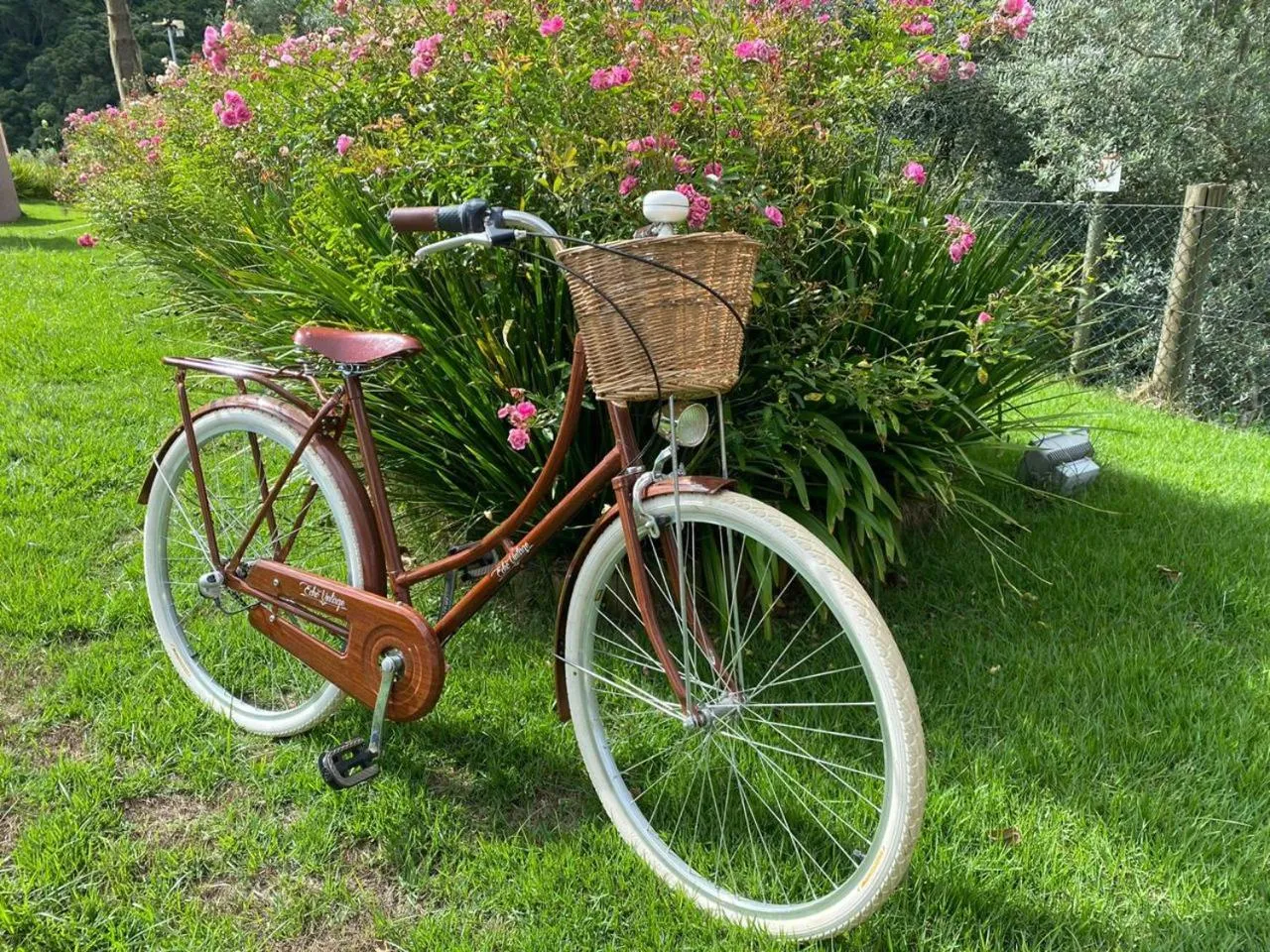 Cycling in Hotel Vinícola Davo