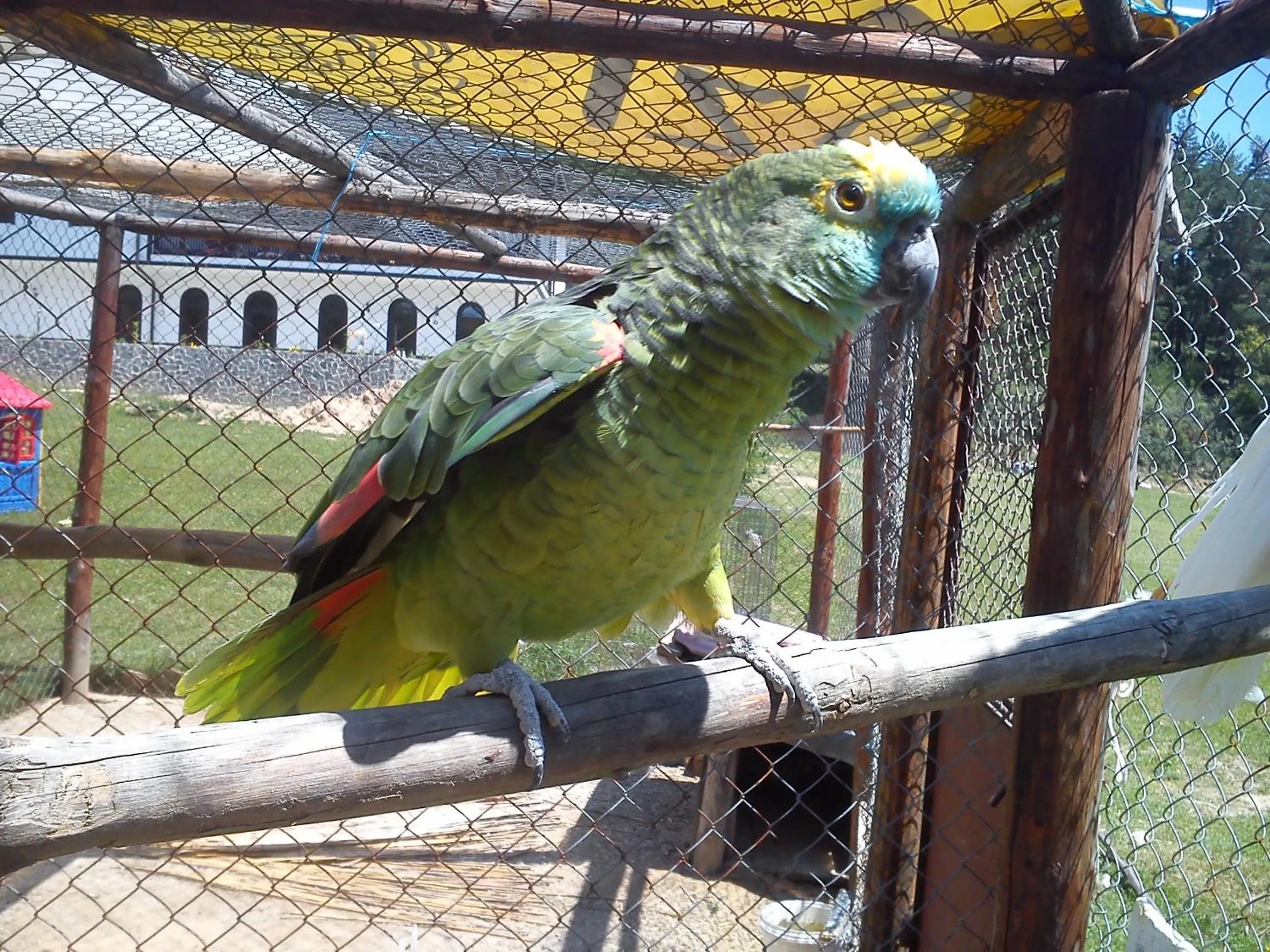 Garden in Rusaliite Adventure House