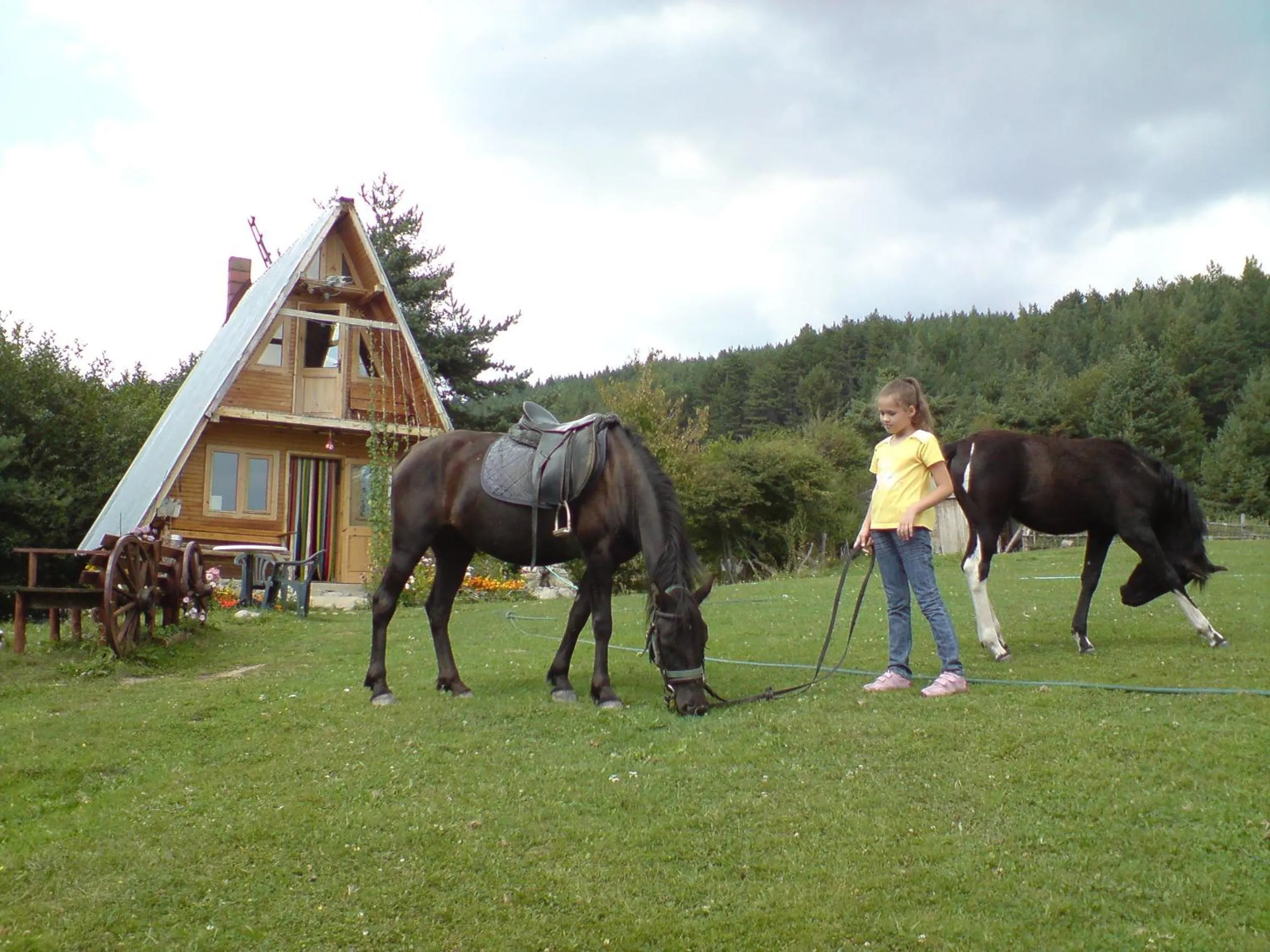 Horse-riding in Rusaliite Adventure House