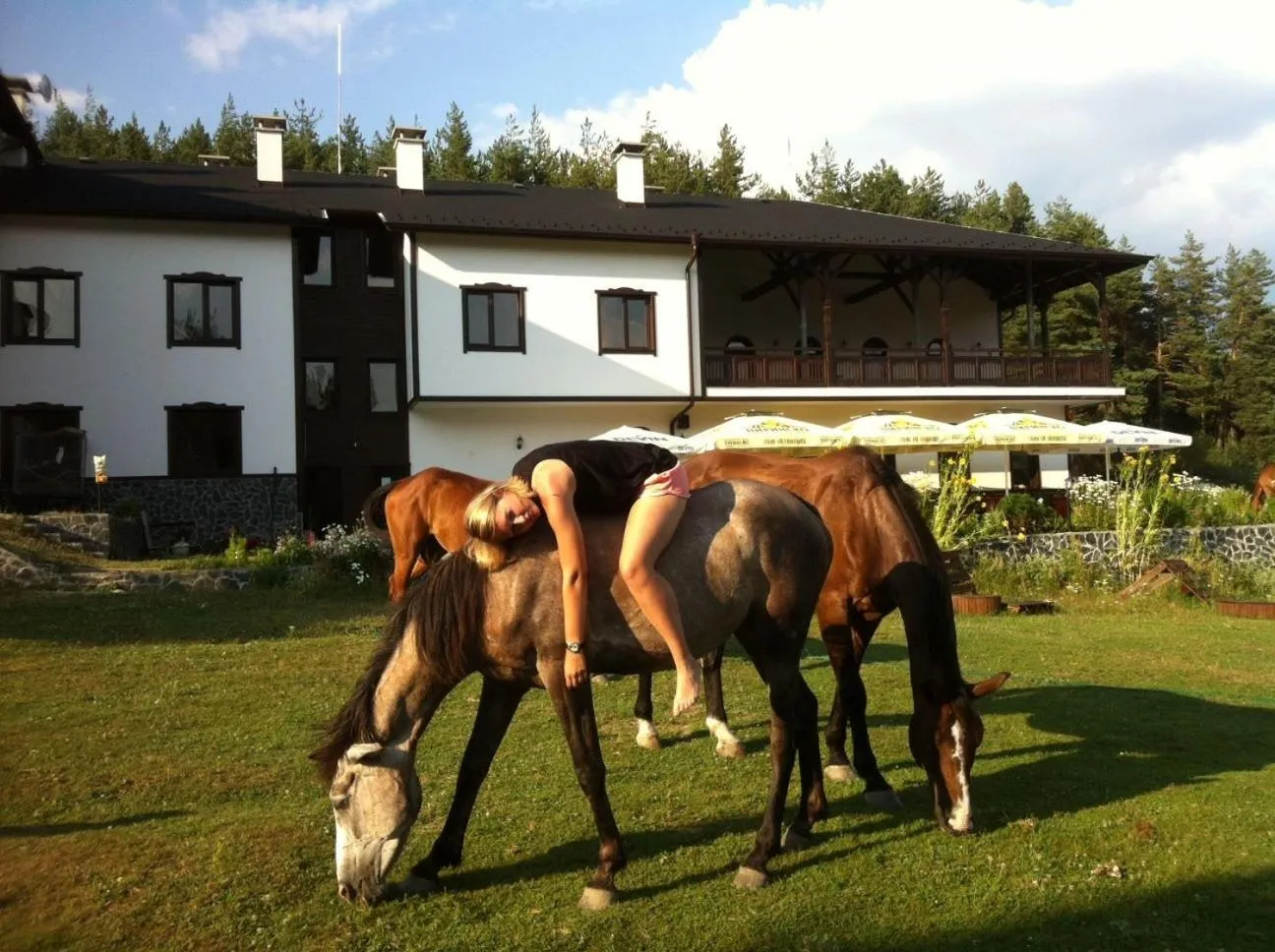 Property building in Rusaliite Adventure House