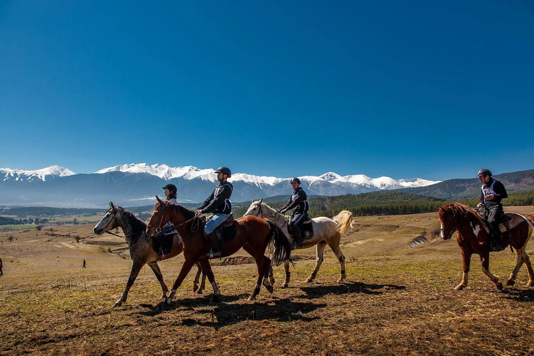 Horse-riding in Rusaliite Adventure House