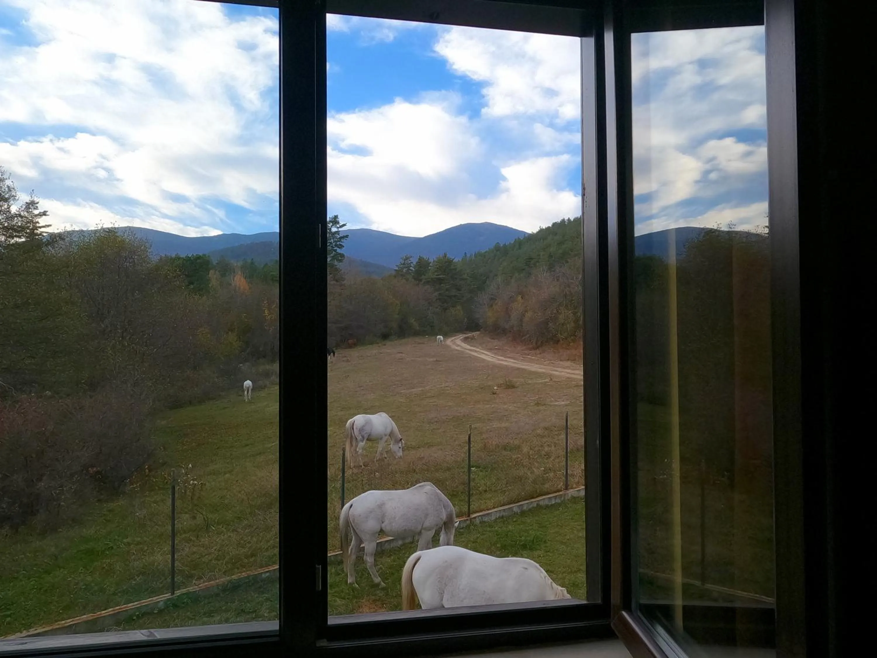 Mountain view in Rusaliite Adventure House