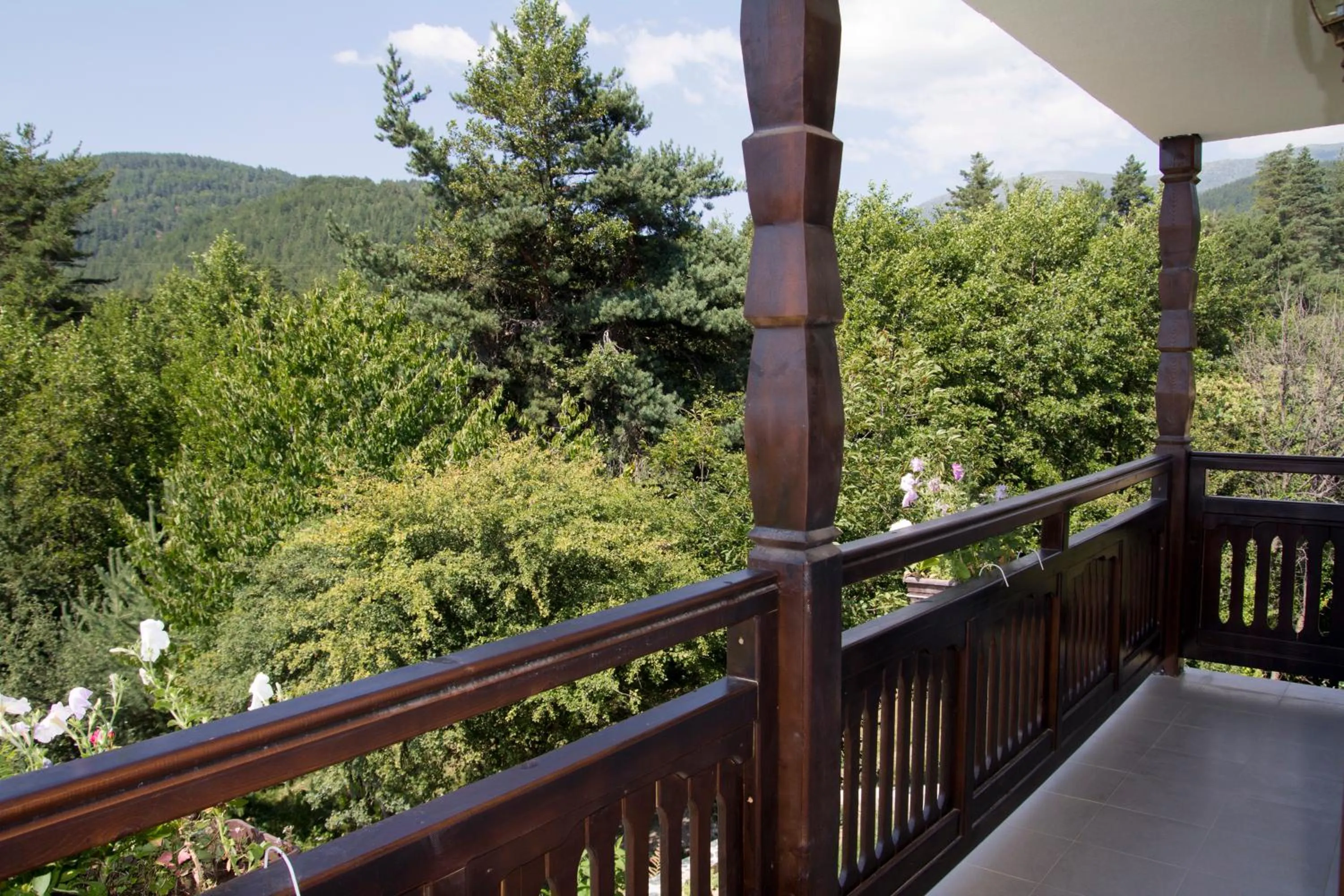 Natural landscape in Rusaliite Adventure House