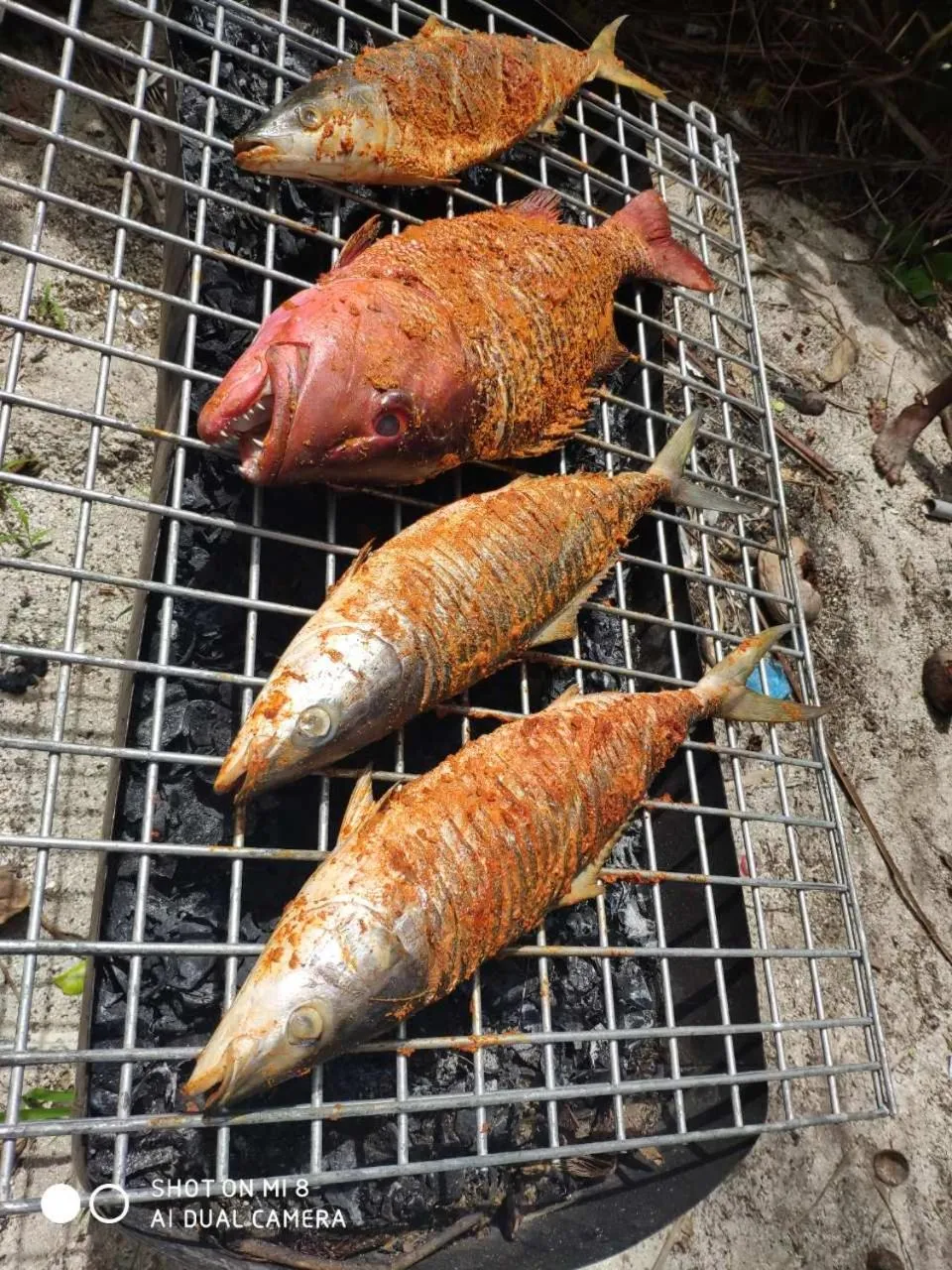 BBQ facilities in Thoddoo Retreat Grand