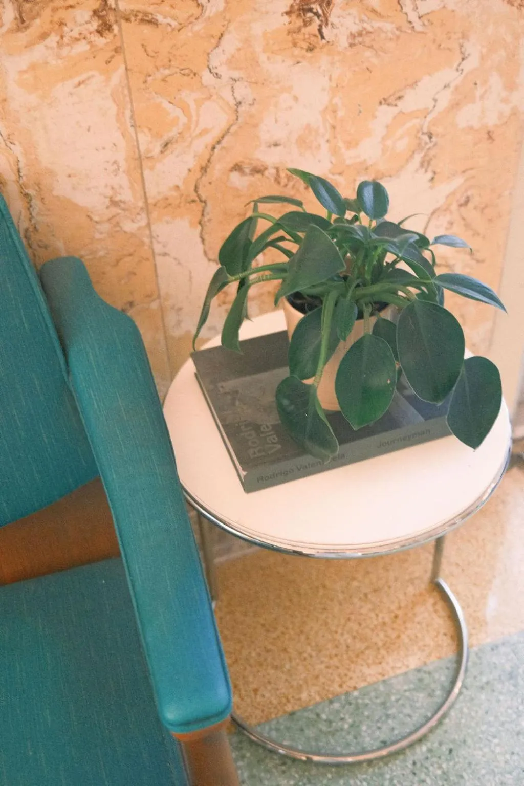 Decorative detail in Century Hotel