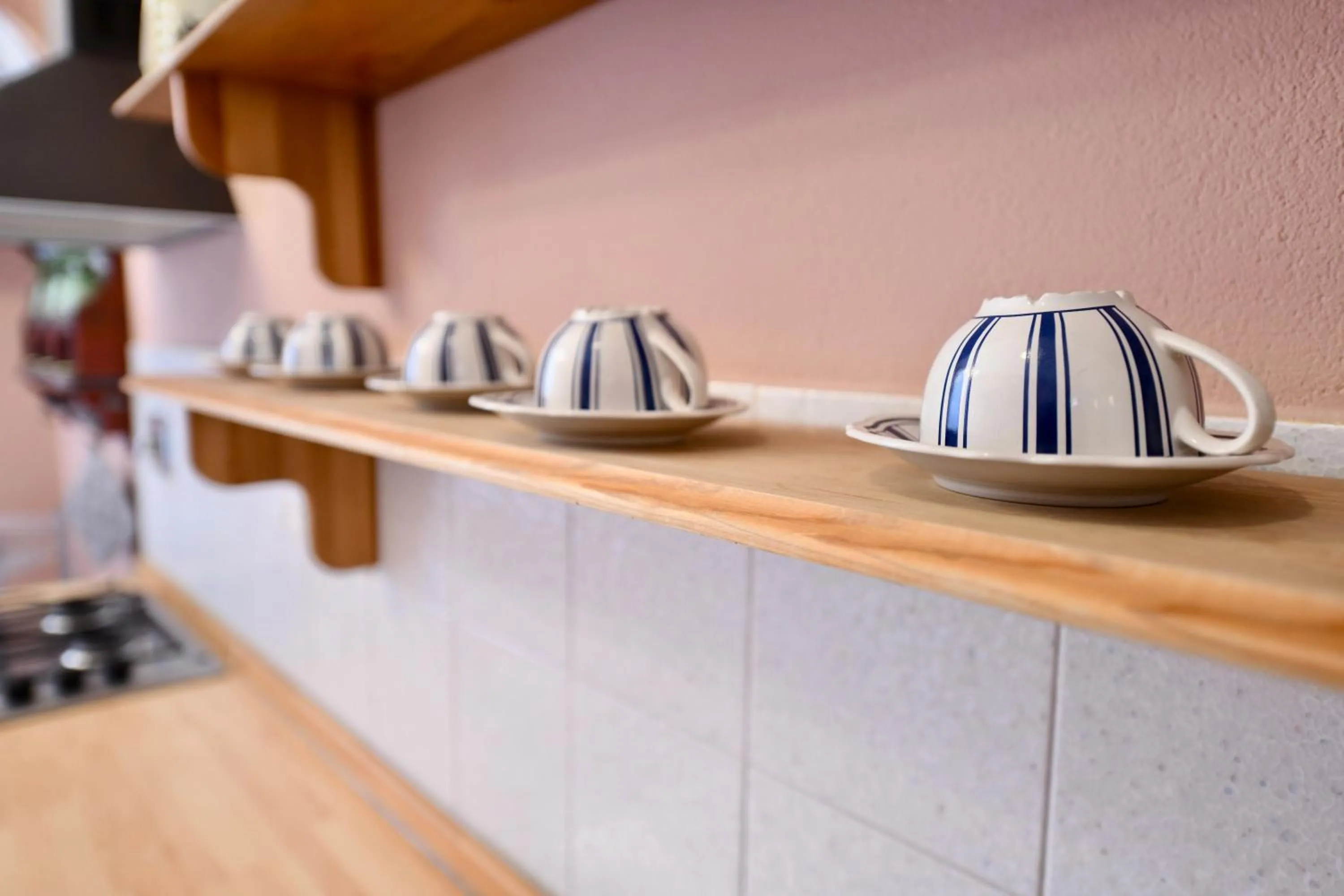 Kitchen or kitchenette in Hotel Villa Maria & Apartment